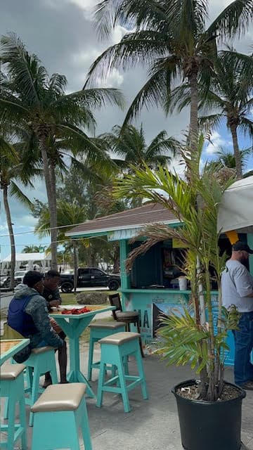 A beachside restaurant that is white and teal green, with an outdoor seating area surrounded by palm trees.