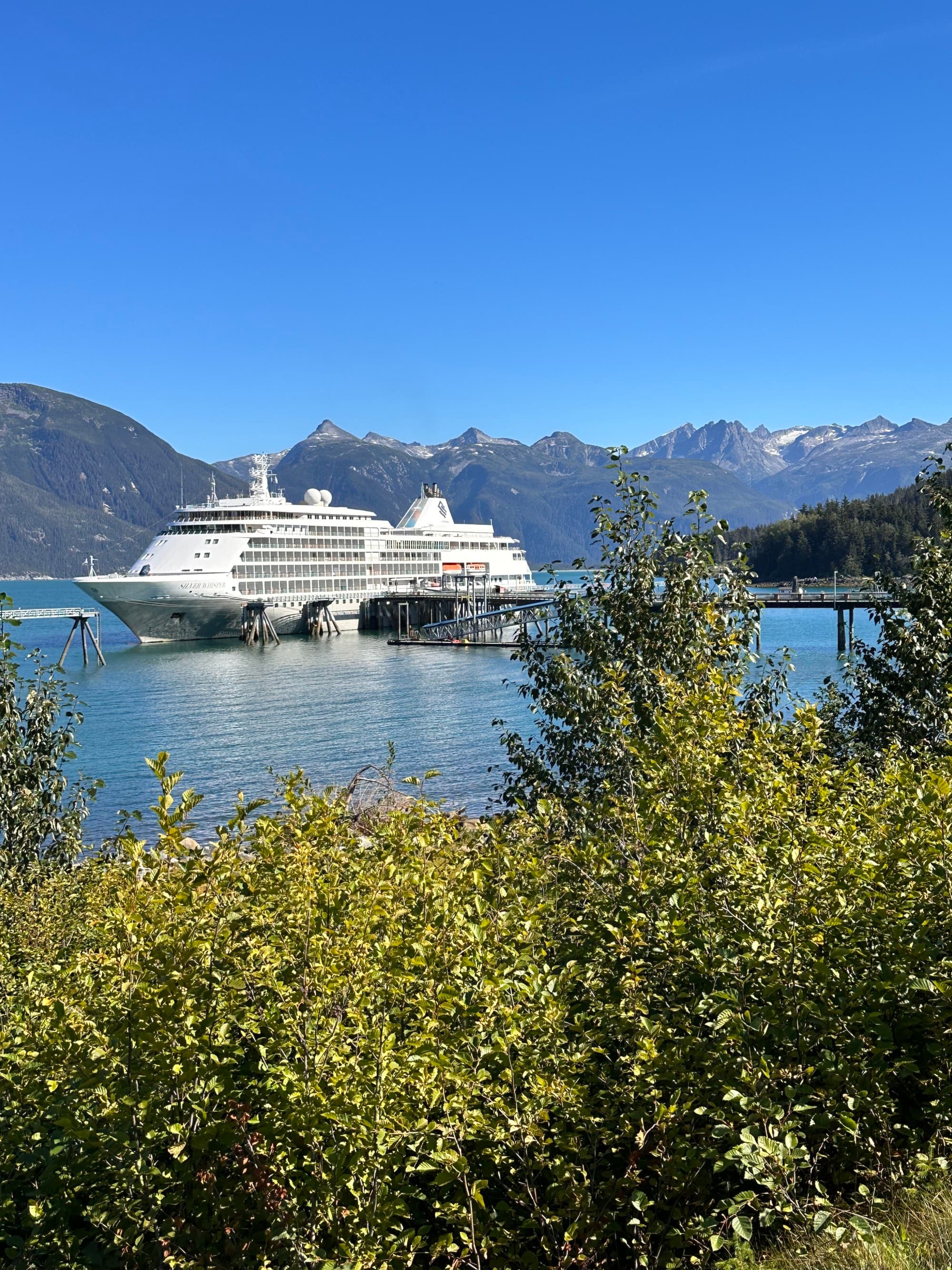 Sea and seaside view with a cruise ship.