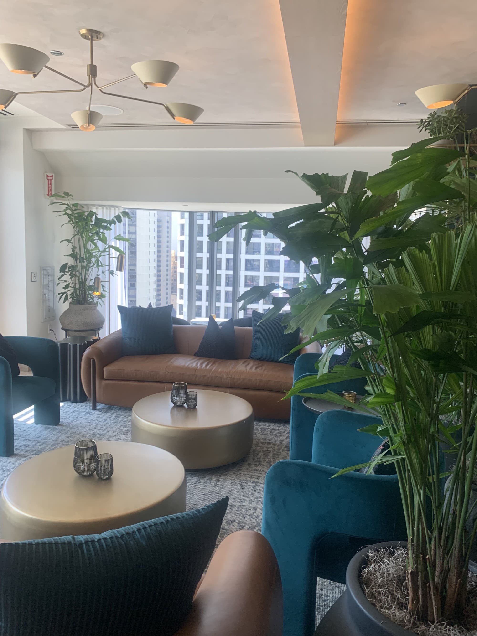 Cozy bar area with live plants and leather couches.