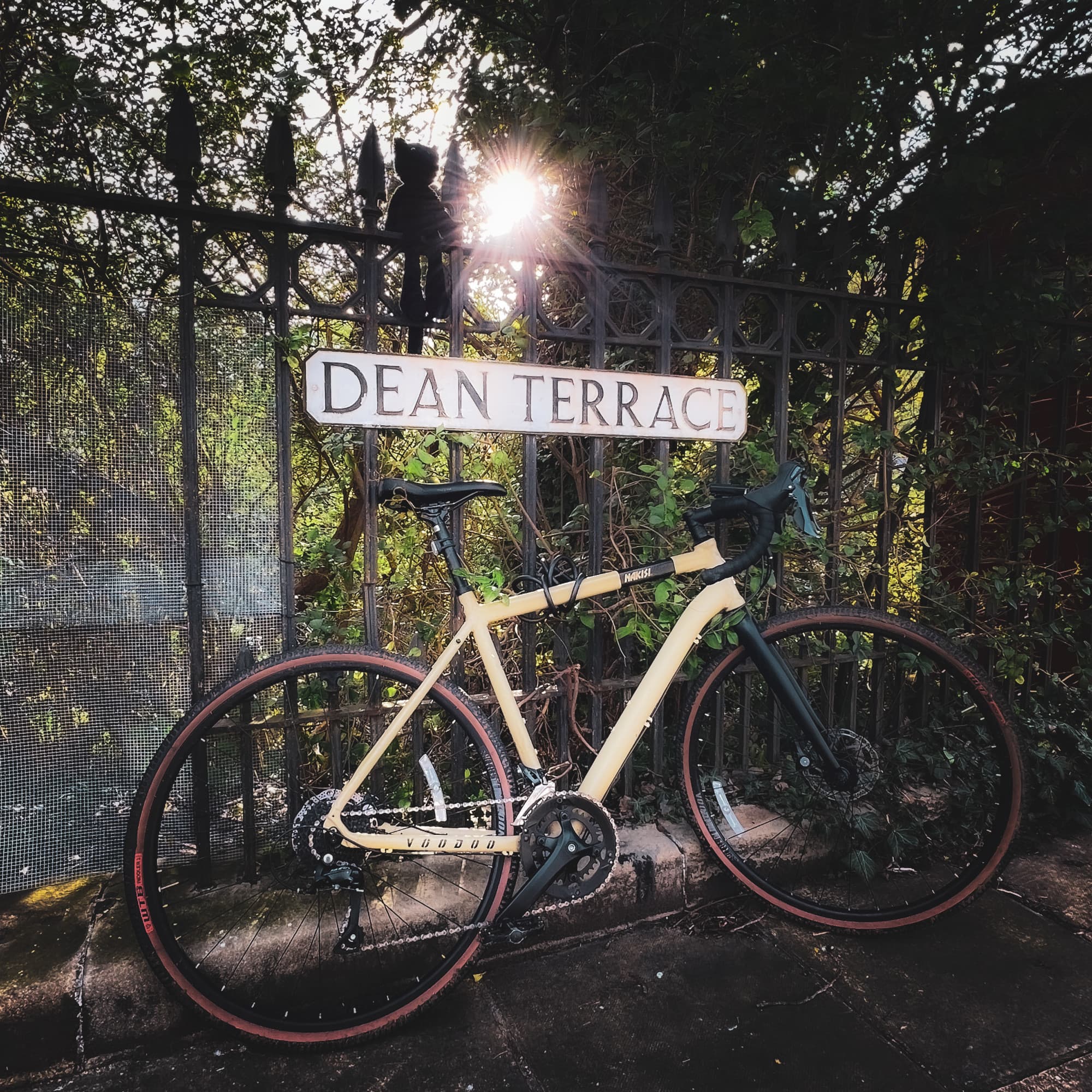 A shady corner near a fence gleams in the sunlight while a bicycle rests on the bars.