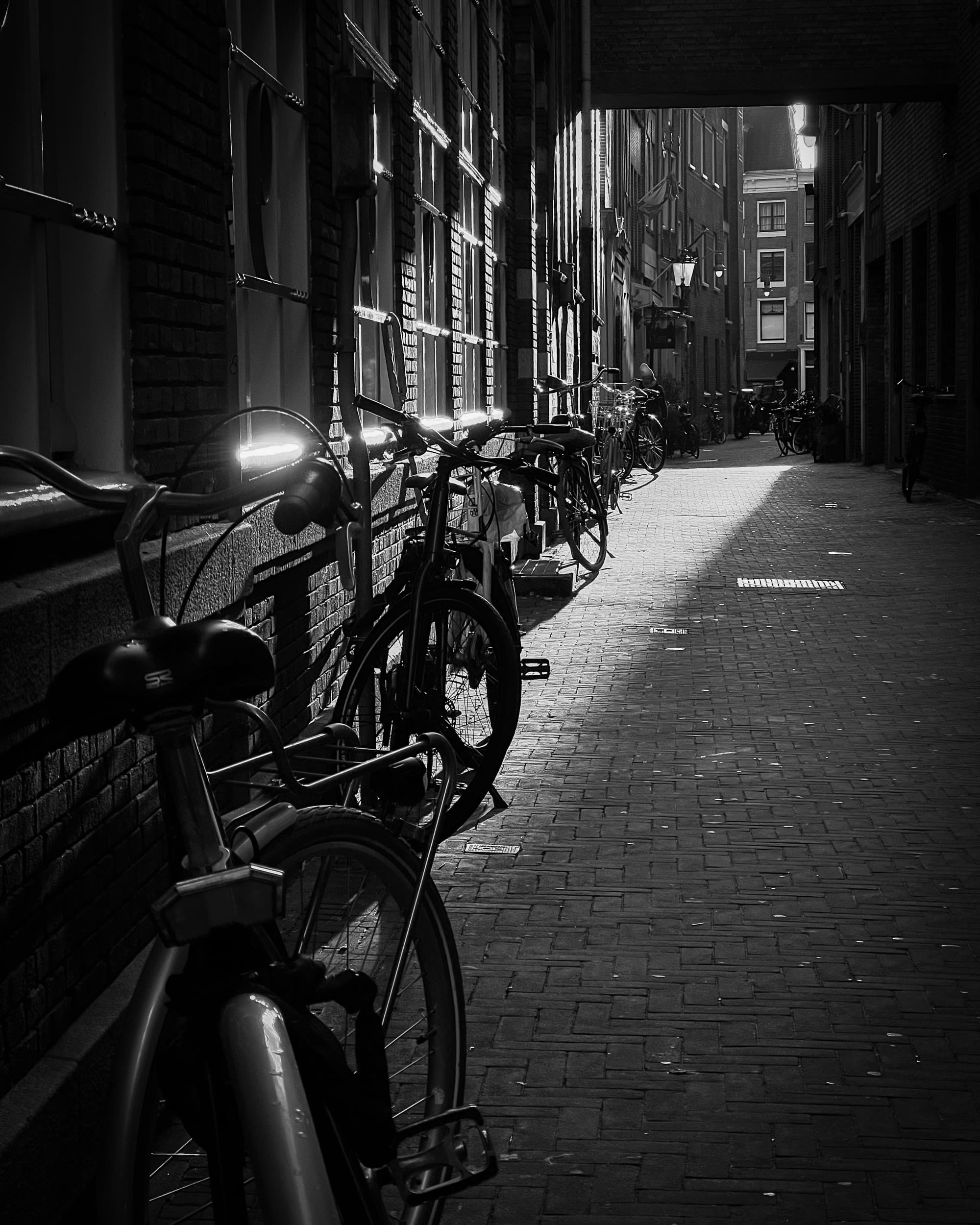 Bikes in Amsterdam line the sidewalk on a sunny corner.