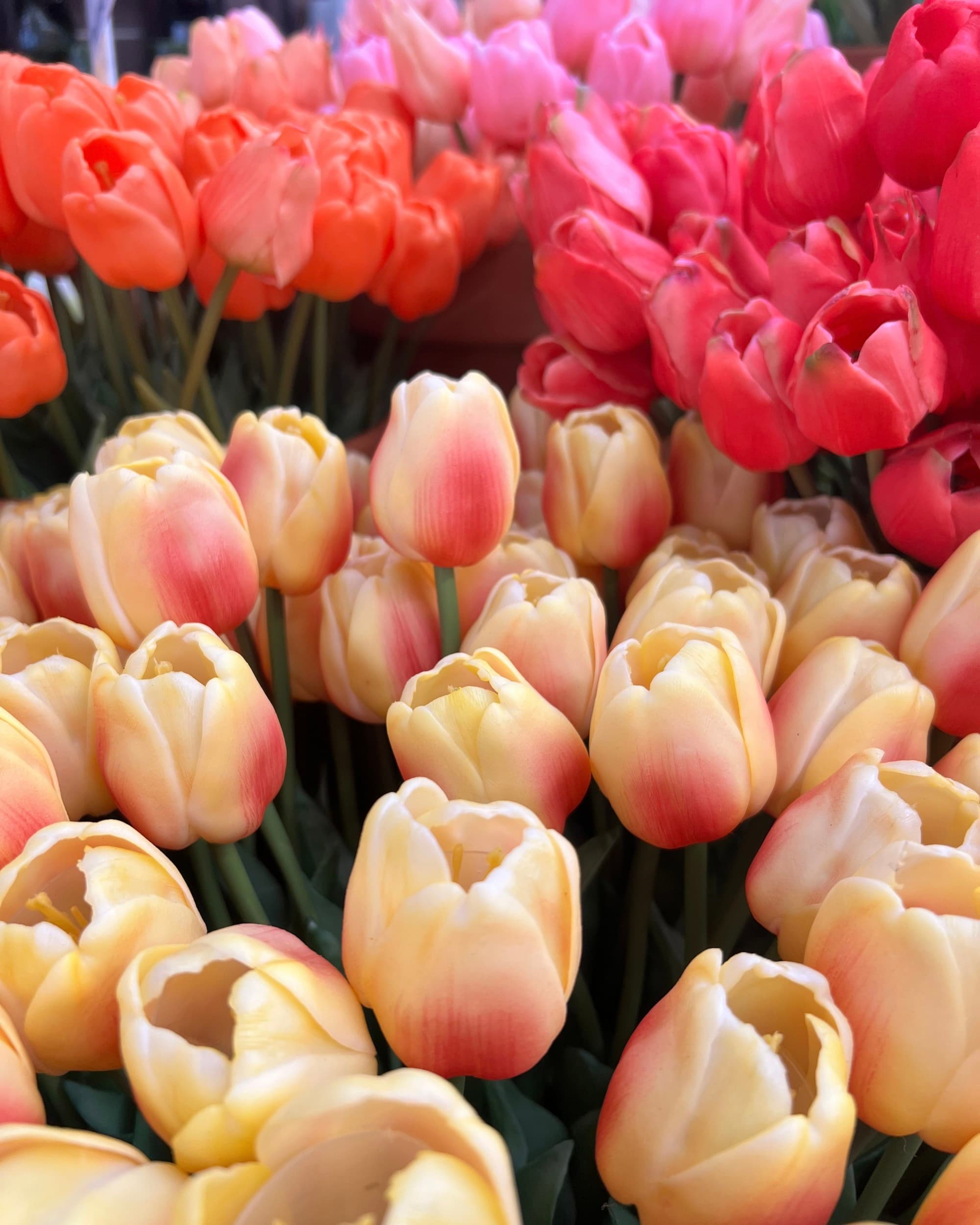 Bunches of tulips cram together in buckets on a cloudy day.