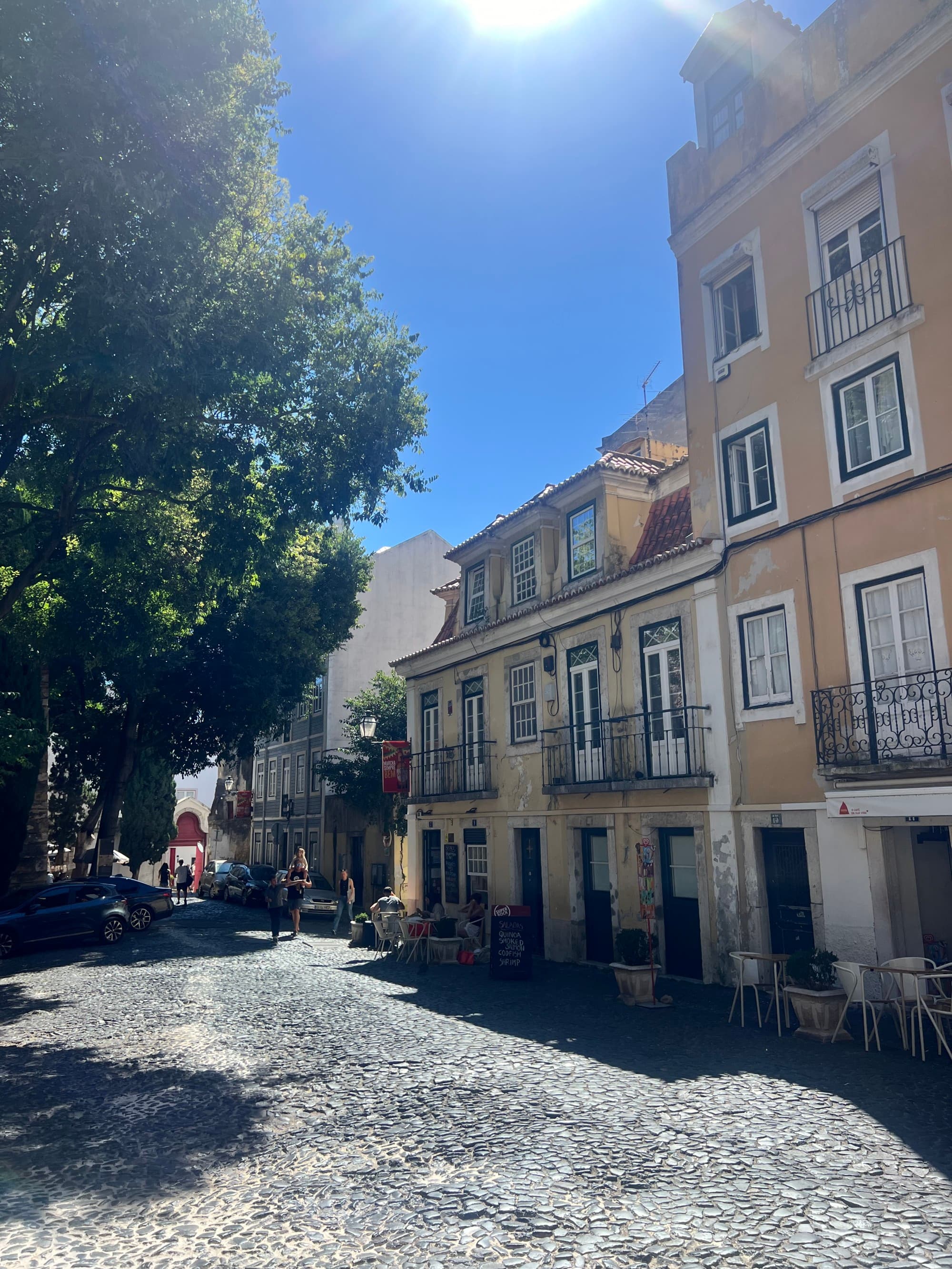 City architecture with cobble streets and trees.