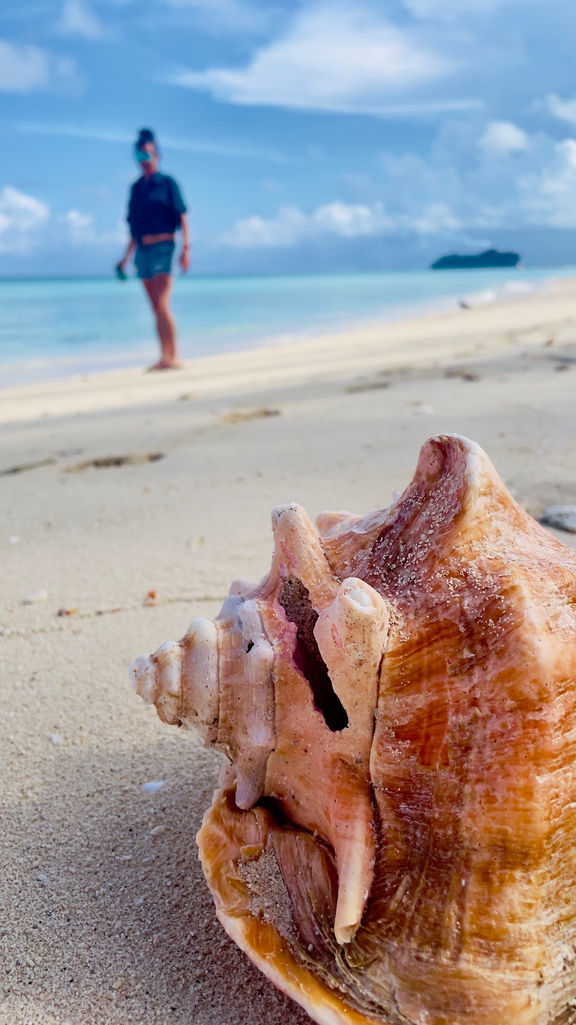 Travel advisor posing on the seaside with a conch shell in the foreground.