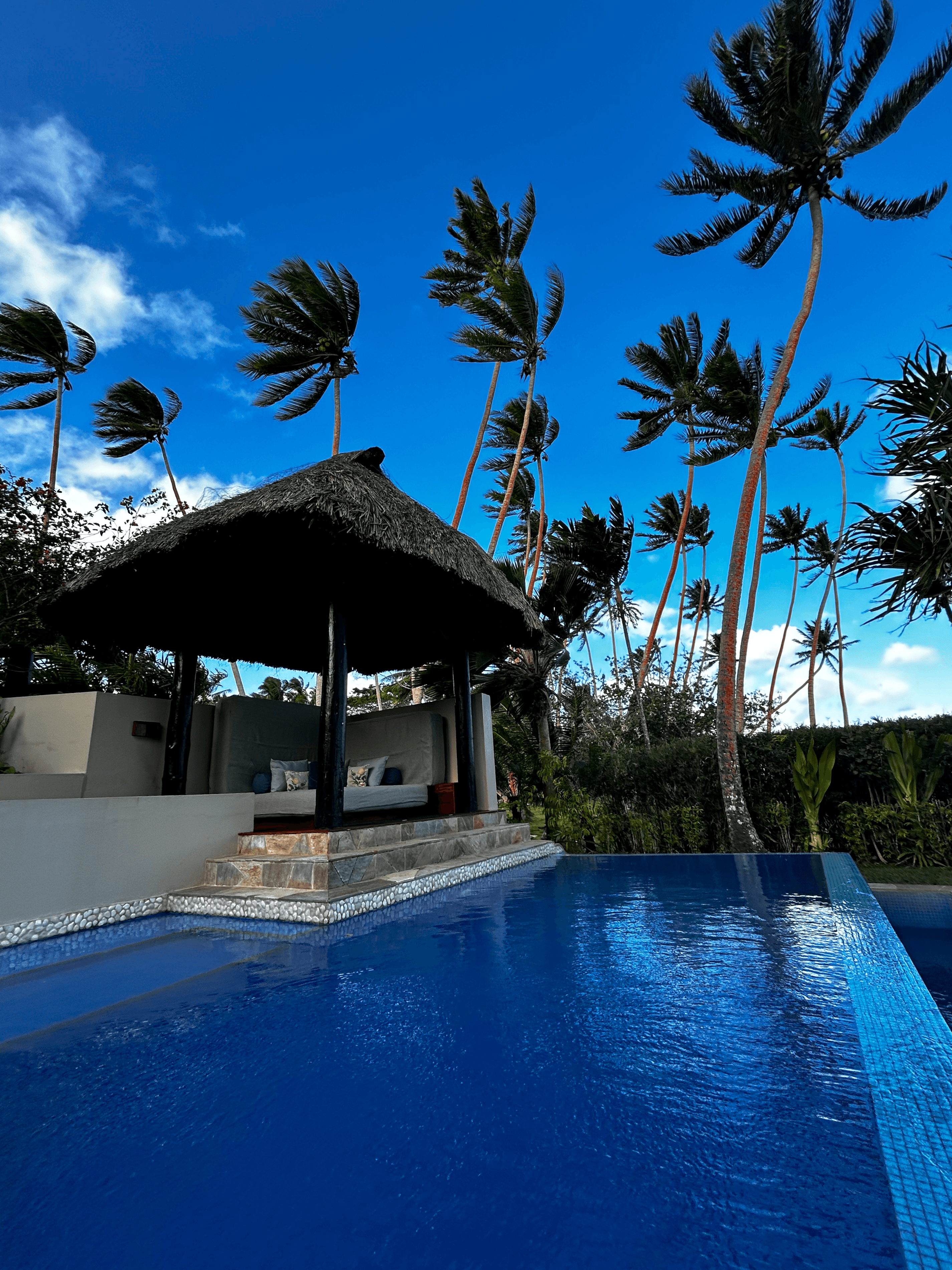 A view of a pool by a private villa at the resort with tall palm trees and a palapa-style hut area with seating.