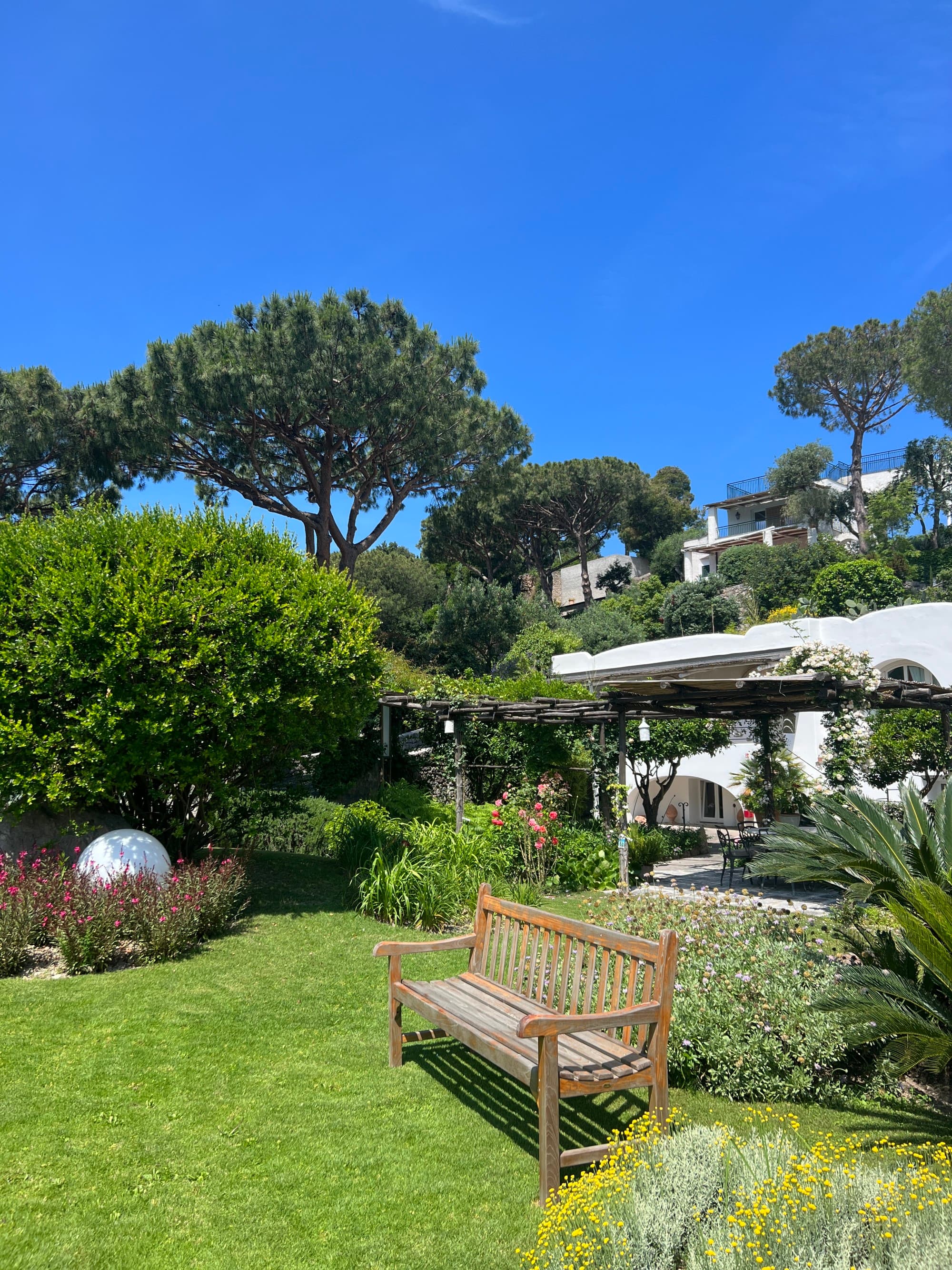 A geen lawn with a wooden bench during the daytime