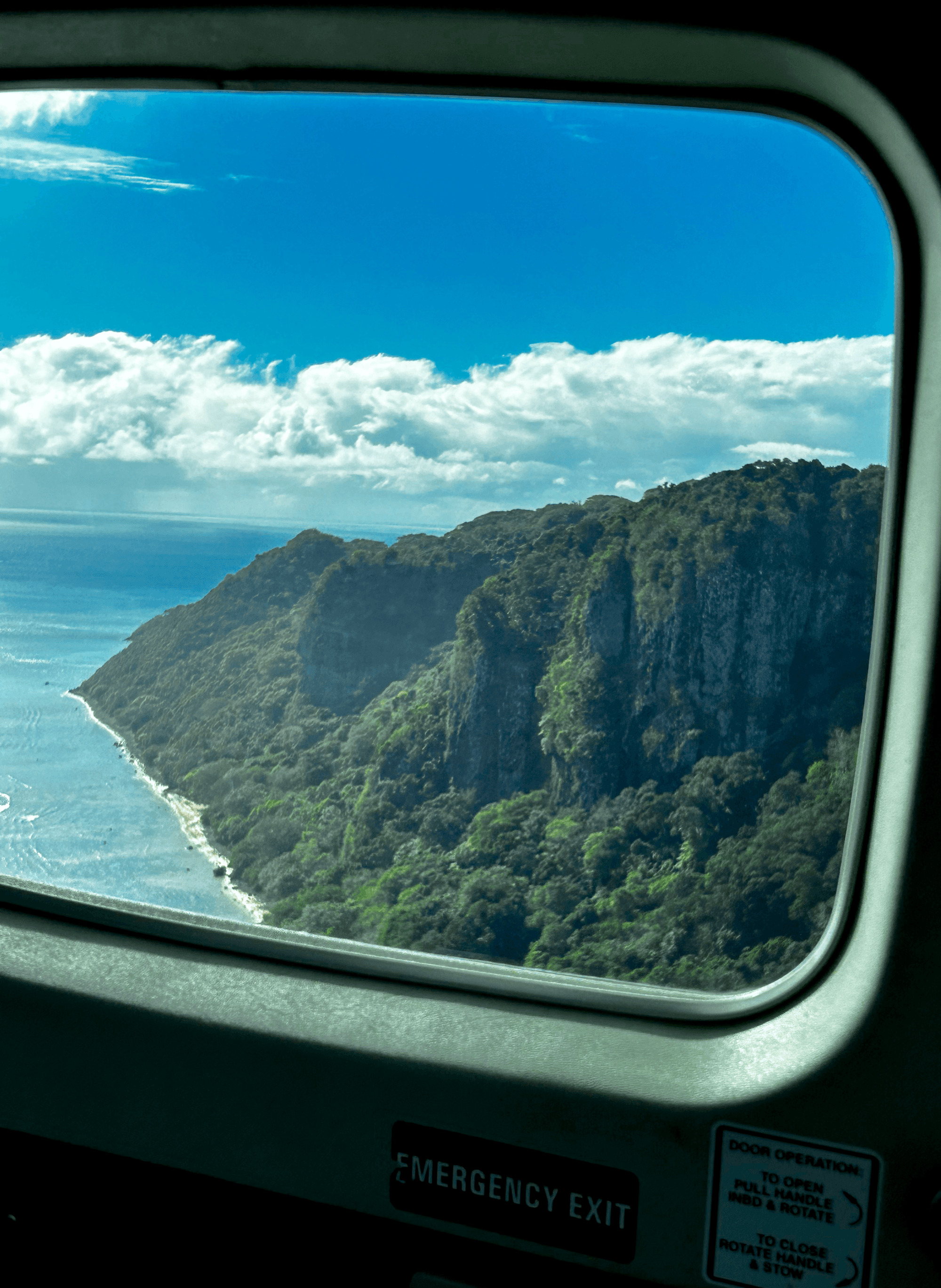 View of an island forest through a window