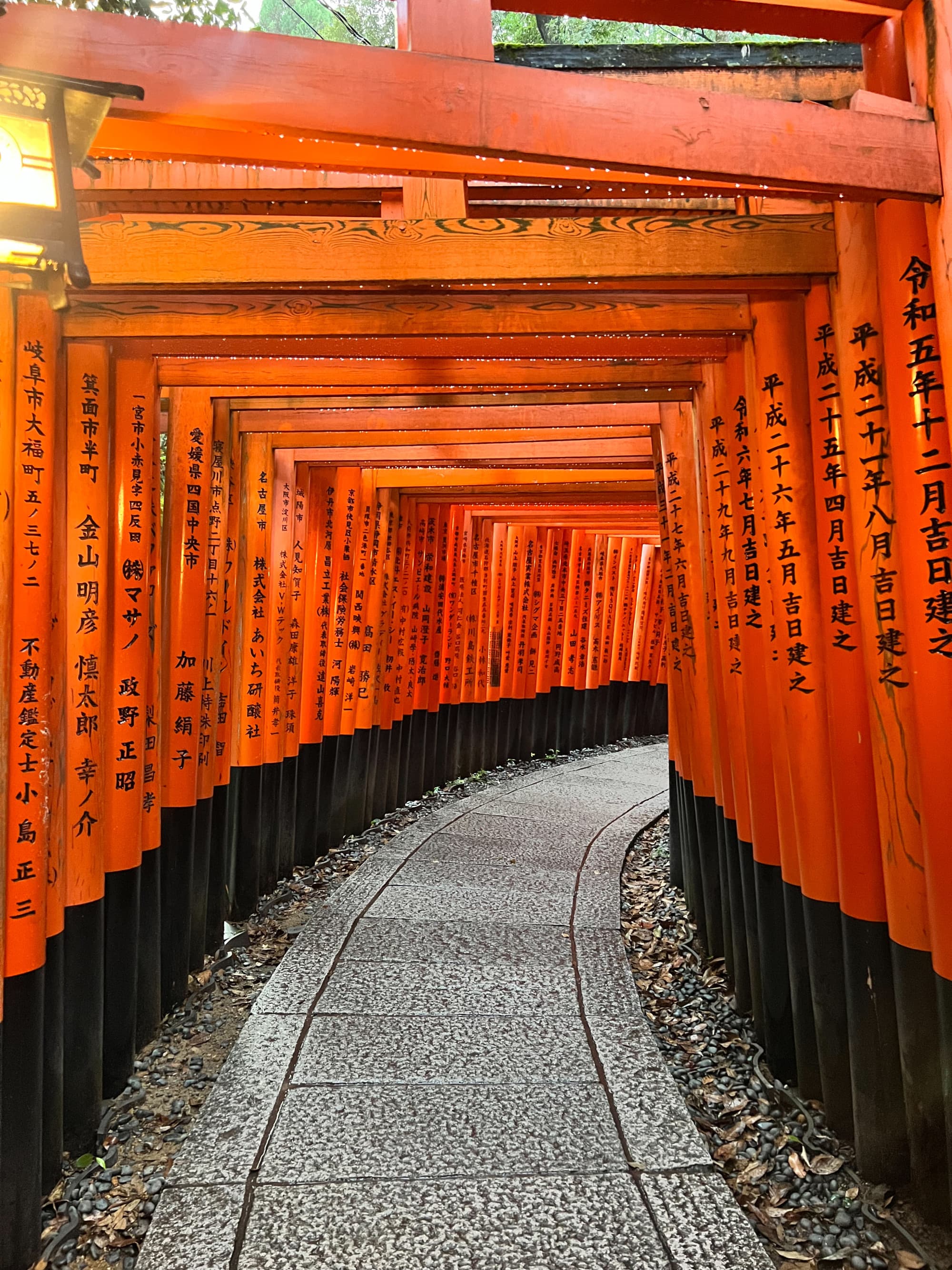 A path winds through a long line of orange shrine bowers.