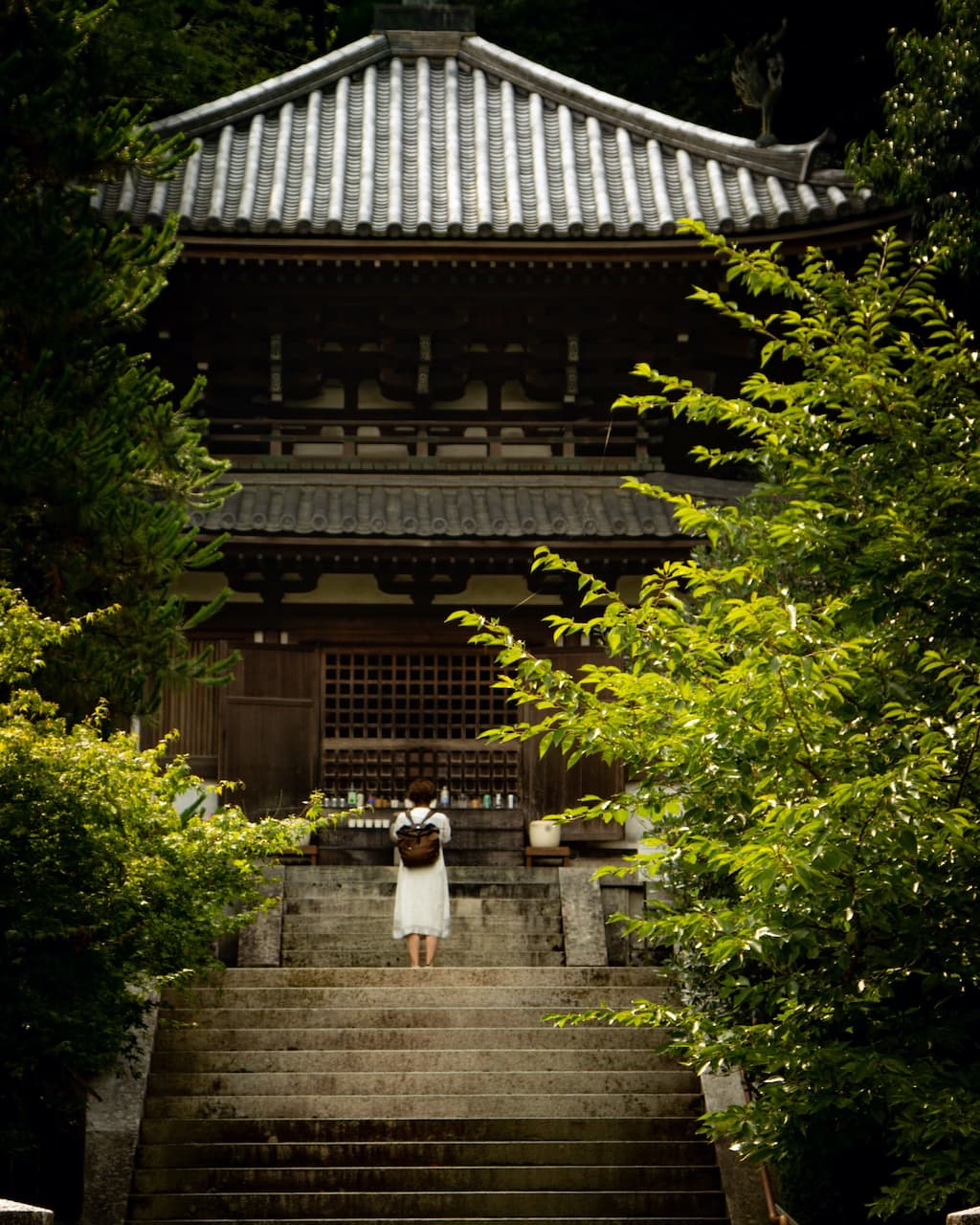 A woman standing on the steps to a dark Japanese temple.