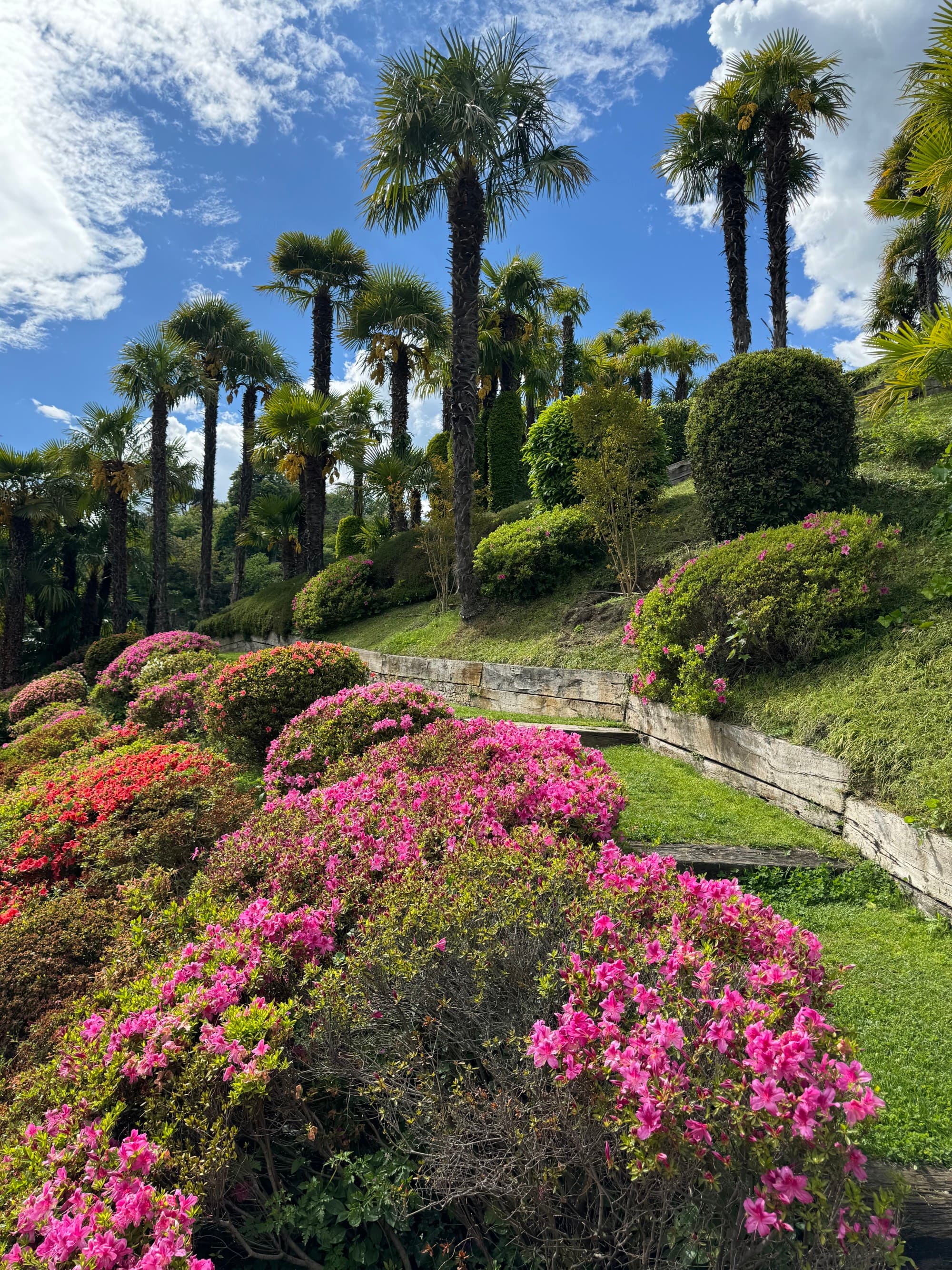 Hotel Gardens