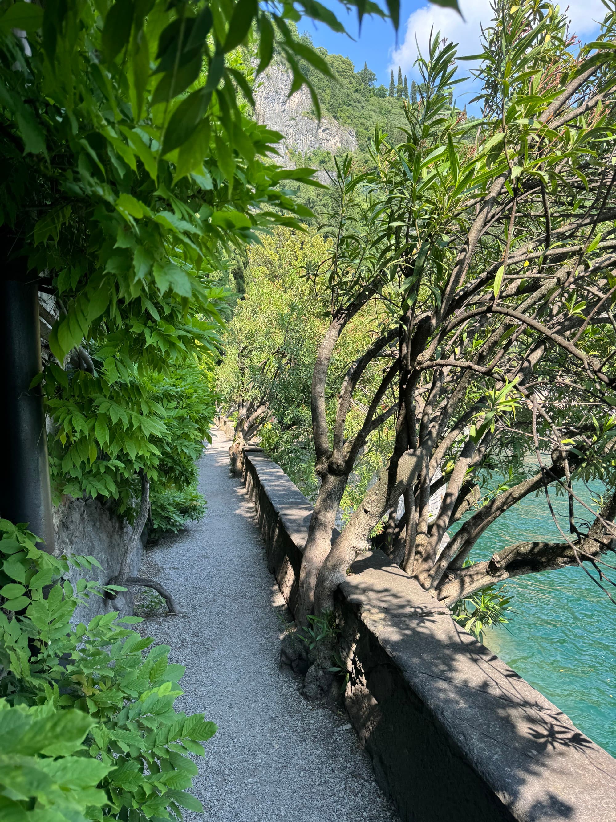 A walking path surrounded by trees next to a lake during the daytime