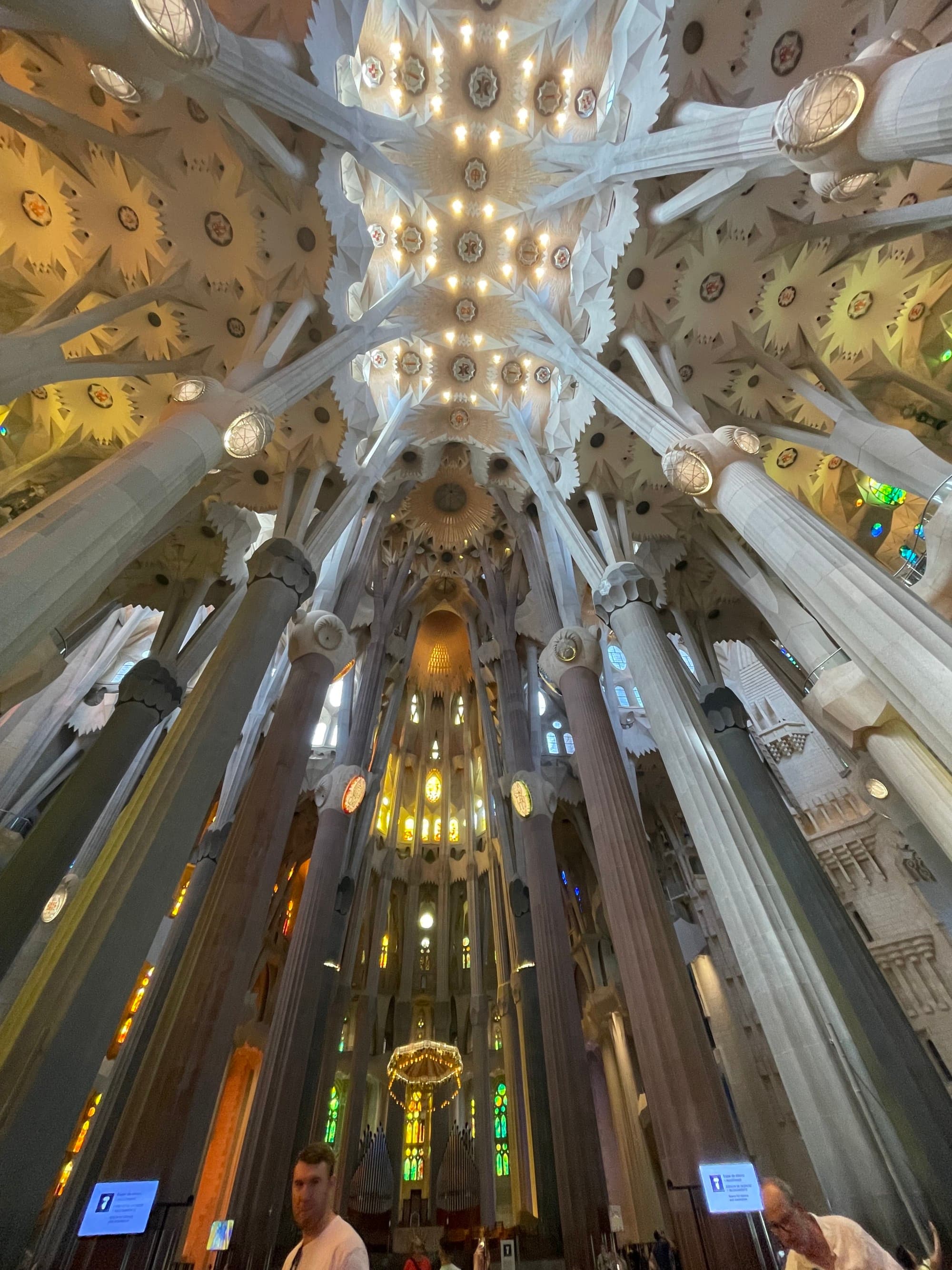 The inside of a cathedral with tall pillars reaching up to a decorated ceiling