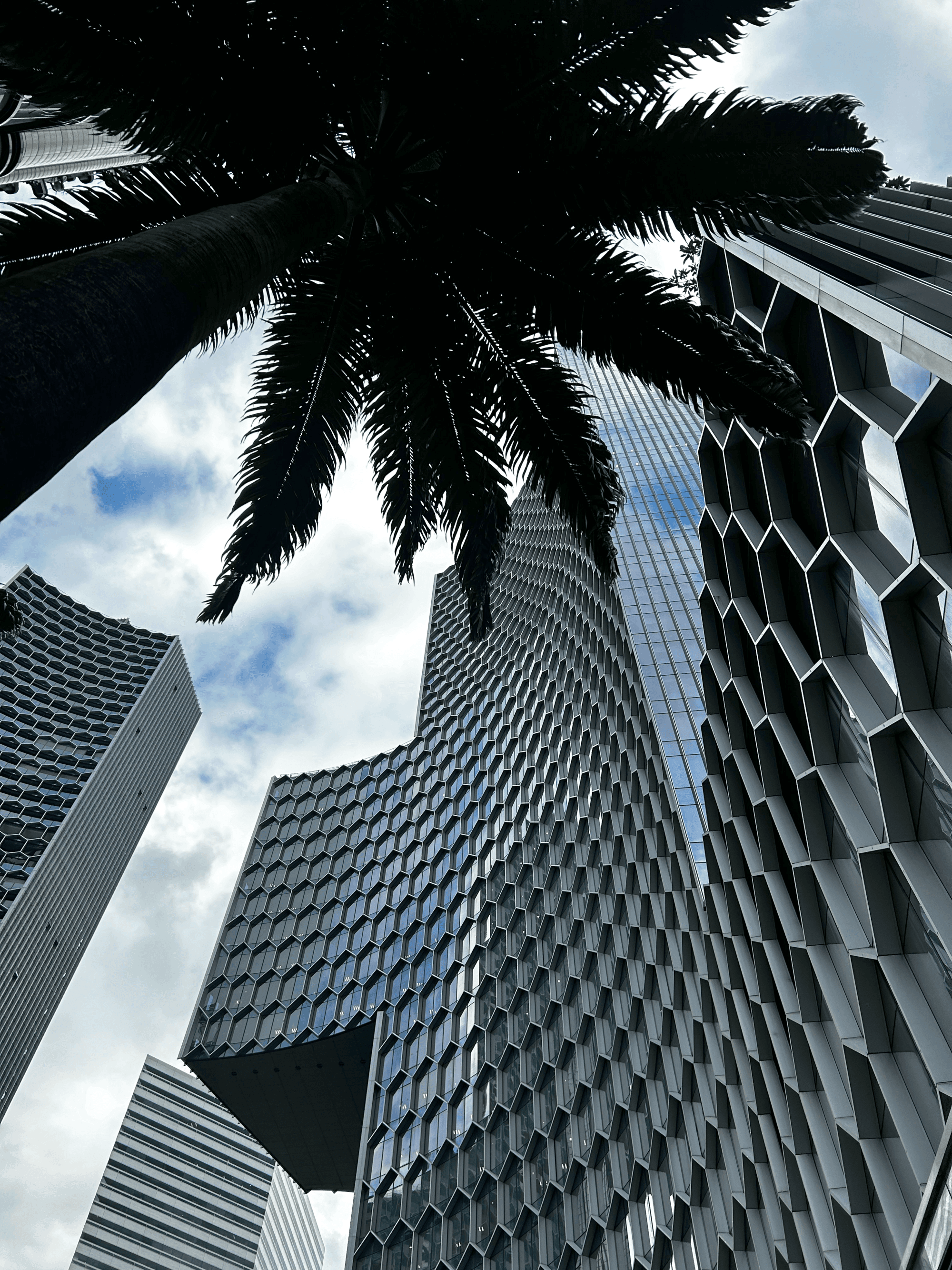 A low angled view of a city sky scraper building next to a palm tree