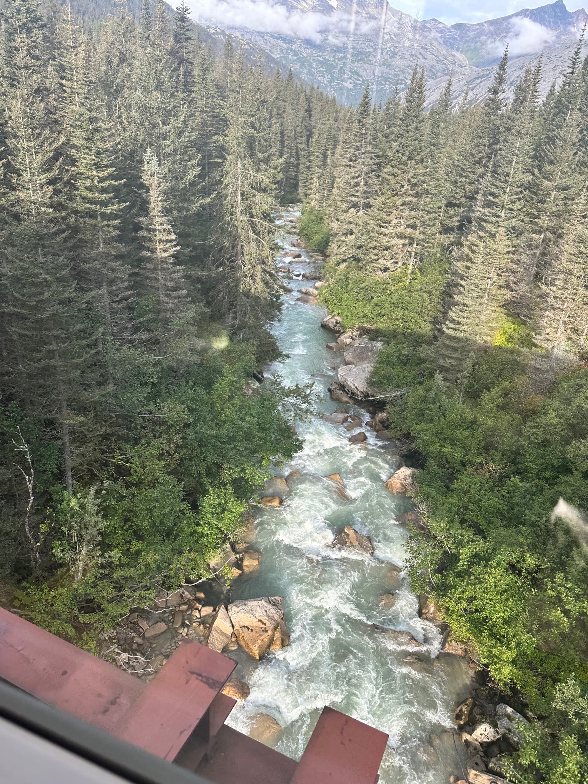 A river rushing through a forest during the daytime