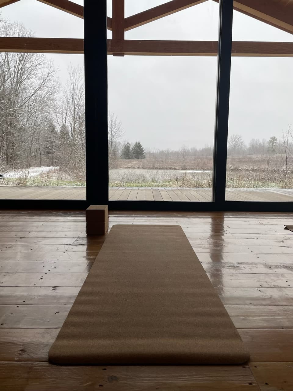 YOGA VIEW through a window looking out on a field on a rainy day.