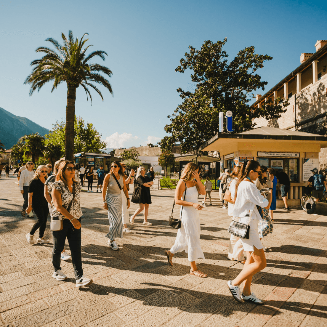 people walk on a boardwalk flanked by palm trees