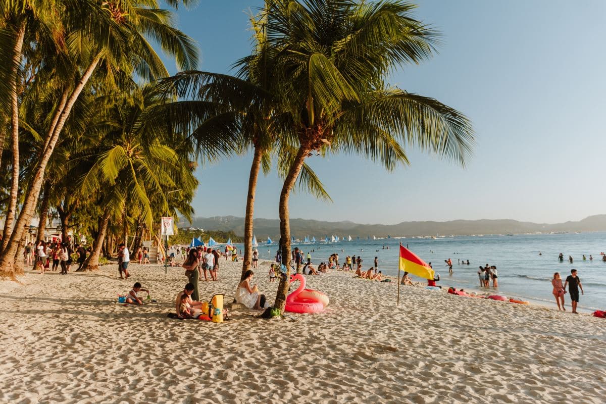 Palm trees on a busy beach during daytime