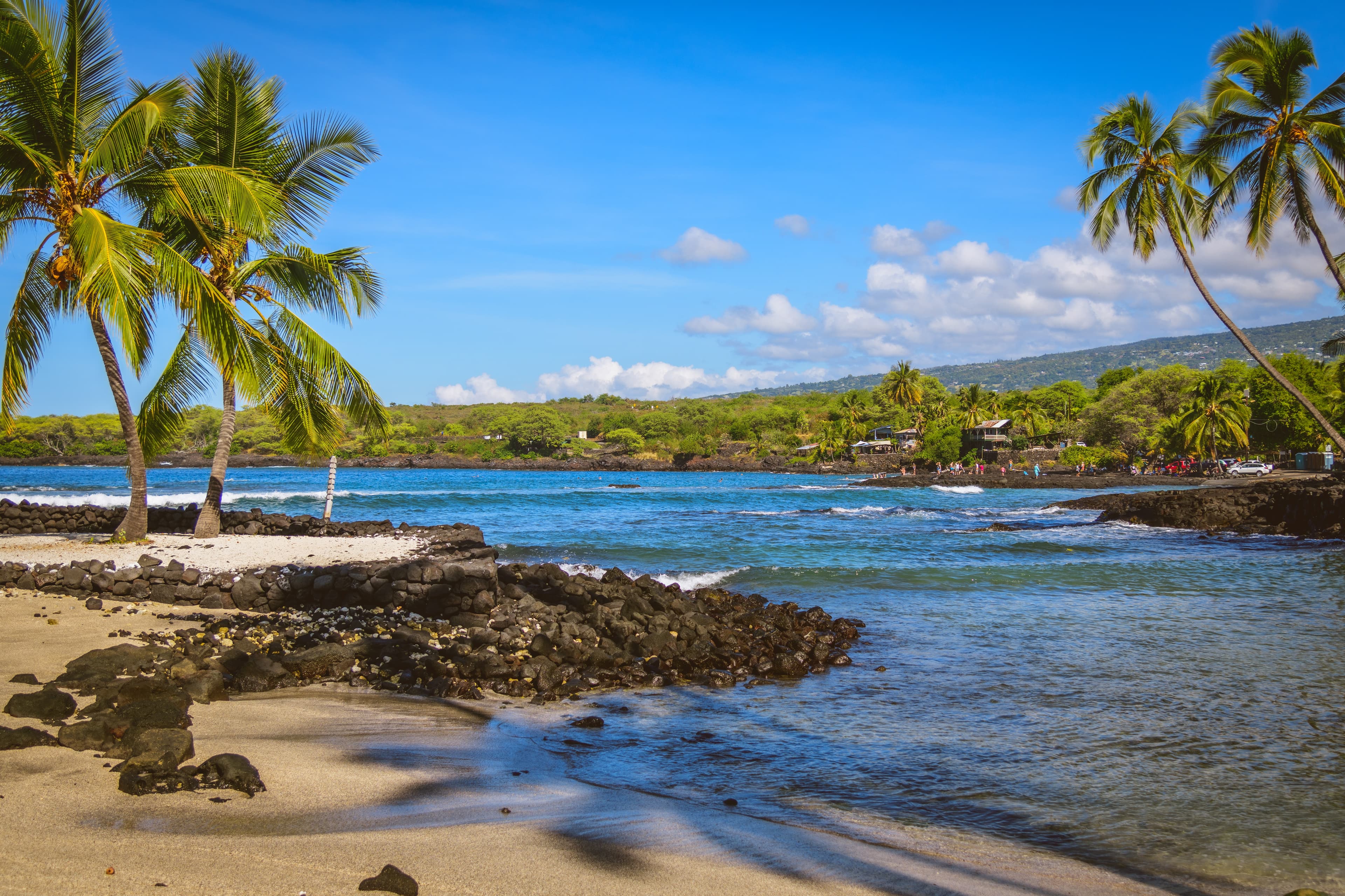 beach and palm trees next to body of water during daytime