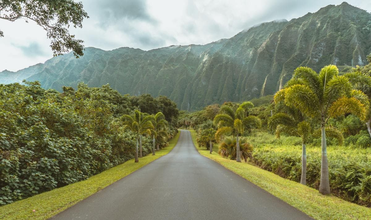 Concrete road leading to mountains and jungle in Oahu.