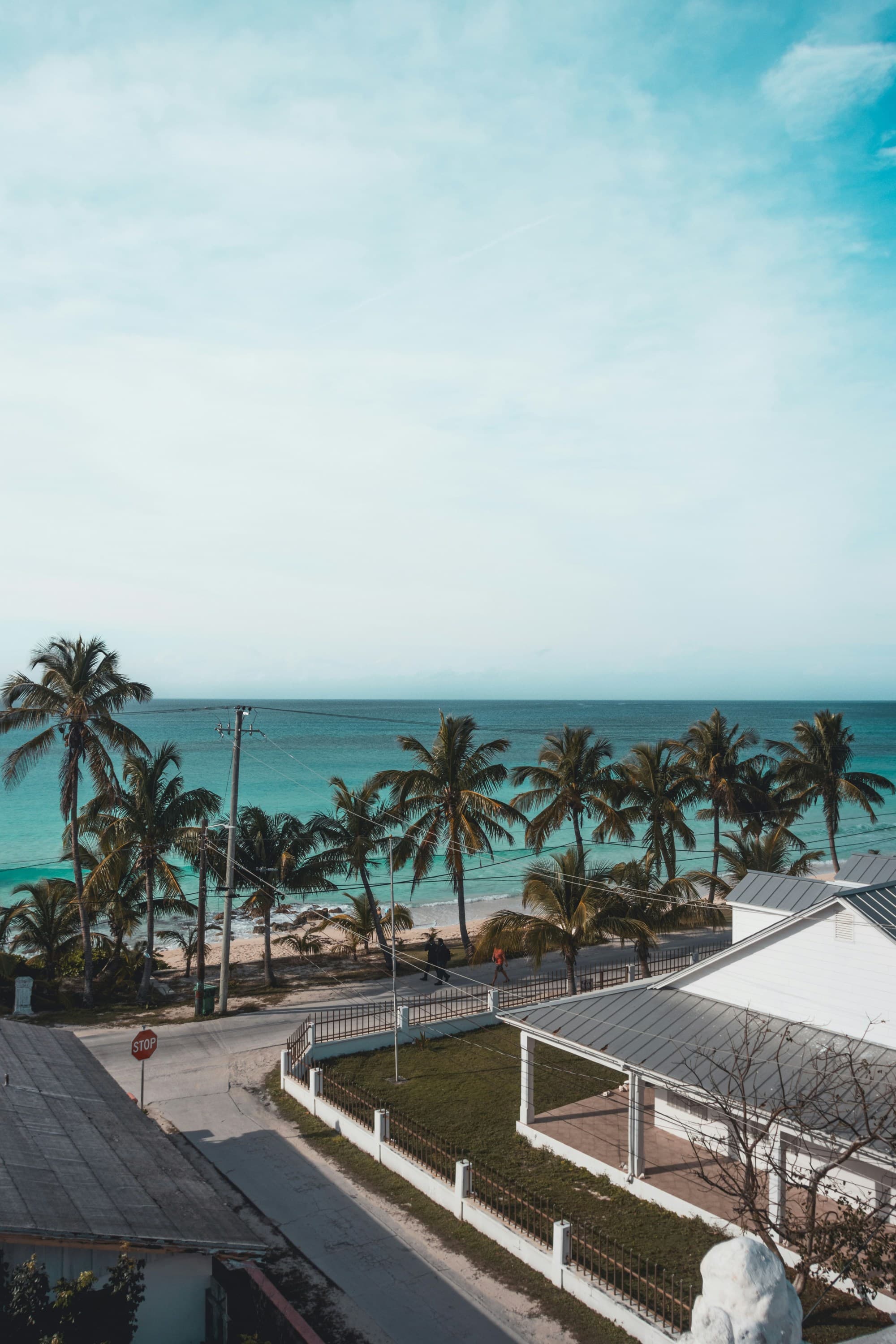 A view of the ocean with palm trees in front during the daytime