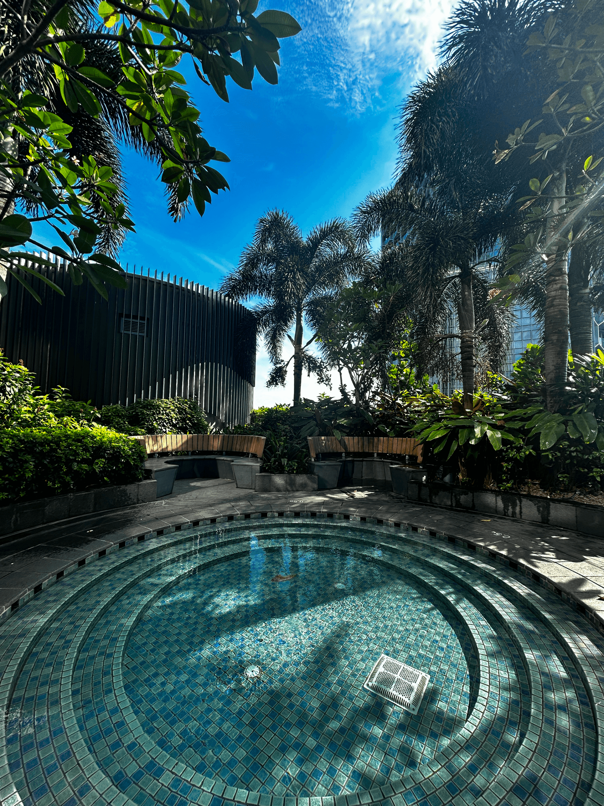 An outside swimming pool area surrounded by trees