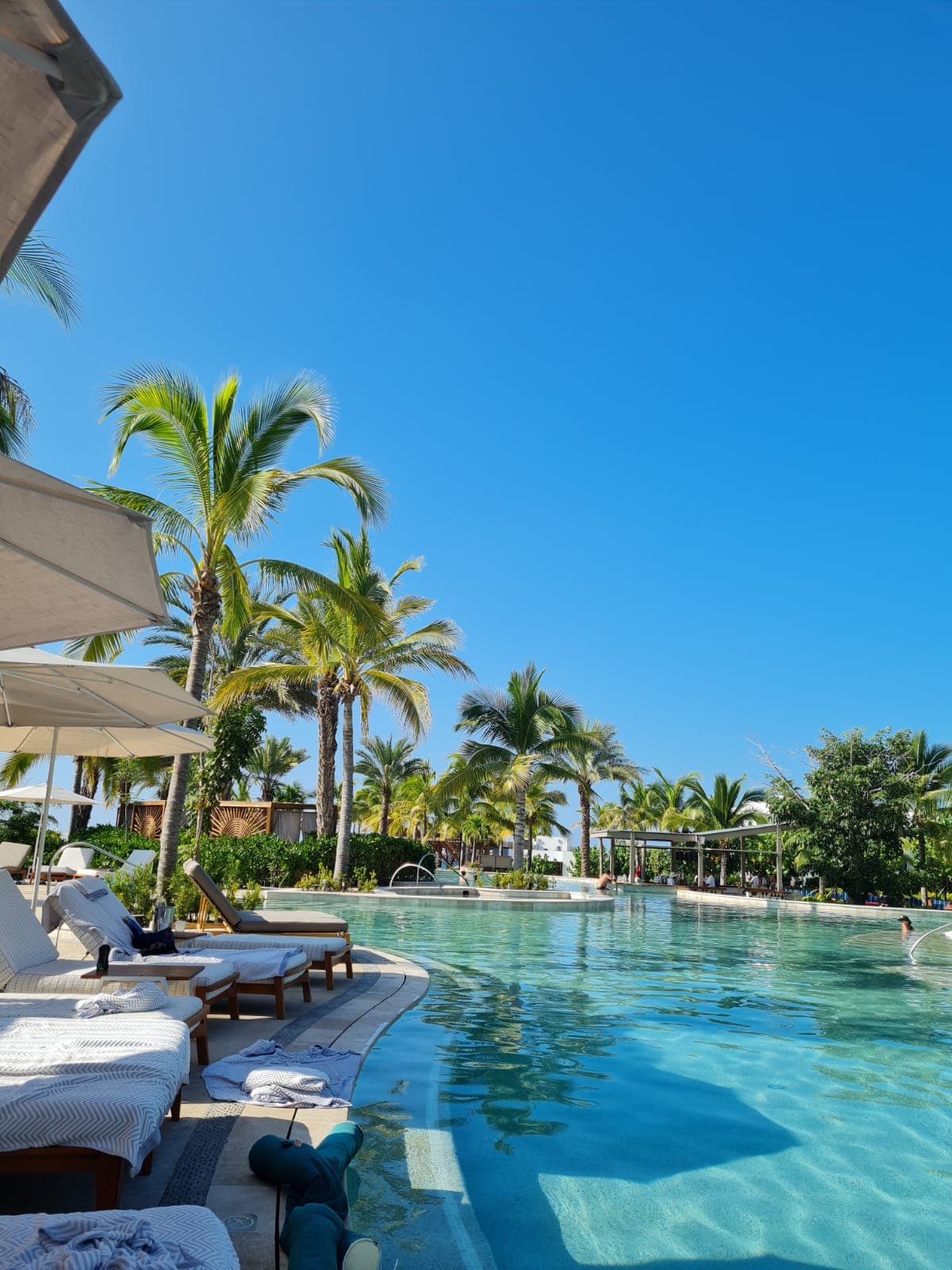 A swimming pool area during the daytime with pool loungers and palm trees