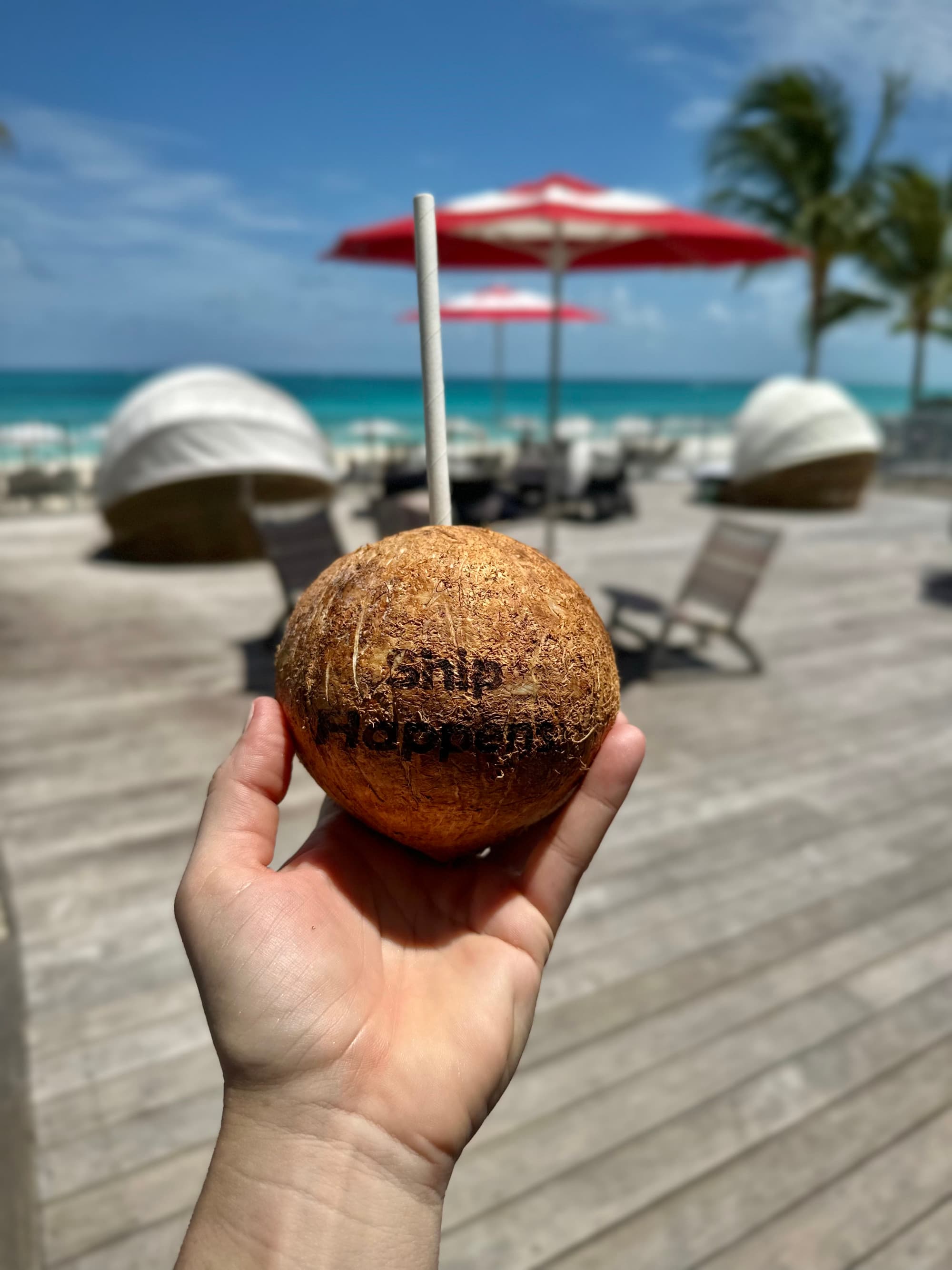 A hand holding a coconut that says "Ship Happens" on a wooden deck with lounge chairs, a red umbrella and the ocean in the background - Kelsey Parry