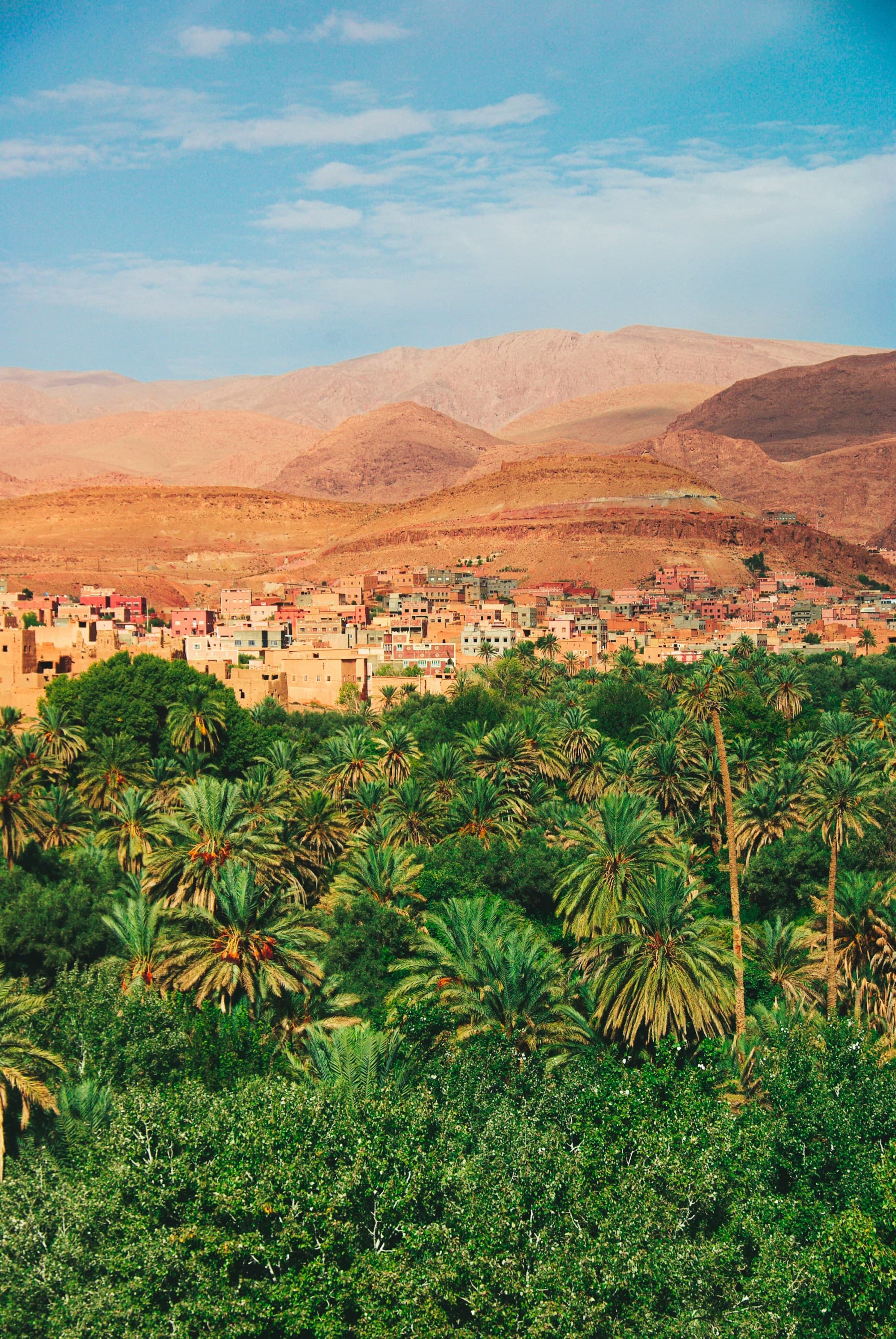 This image depicts a view of a desert-like city scape, palm trees and sandy mountains.