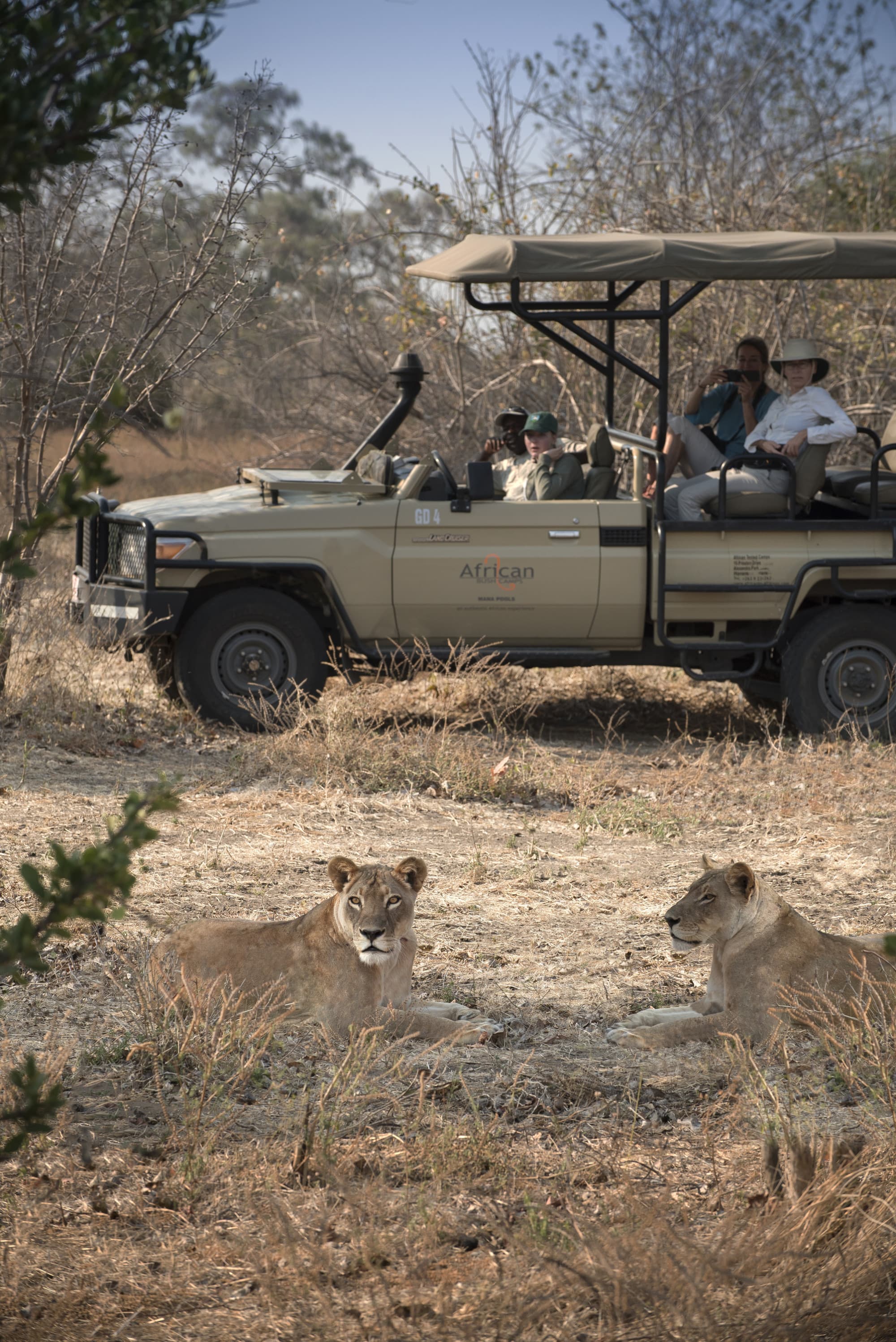 African Bush Camps Kanga Camp 16 - Jabulile Ngwenya