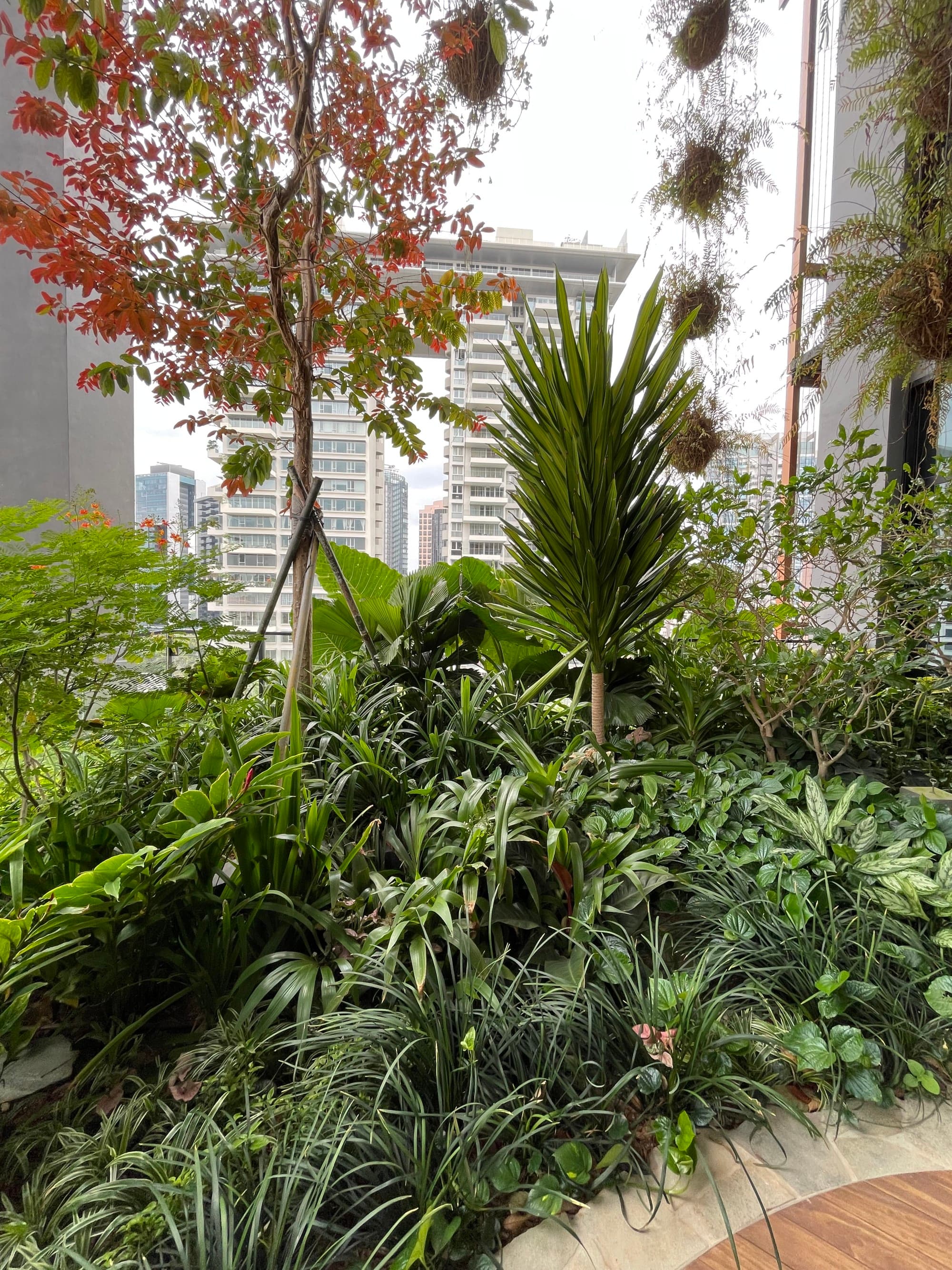 A view of lush foliage from a pvate garden terrace suite at the Artyzen hotel in Singapore