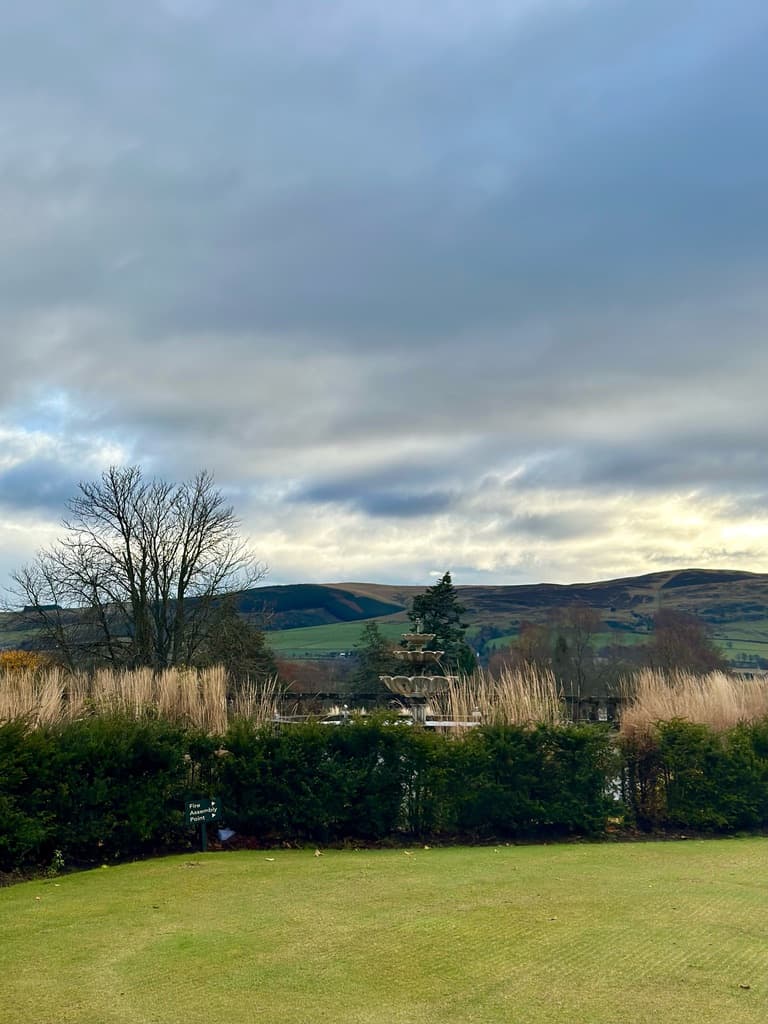 Skyline and garden view with mountains in the distance.