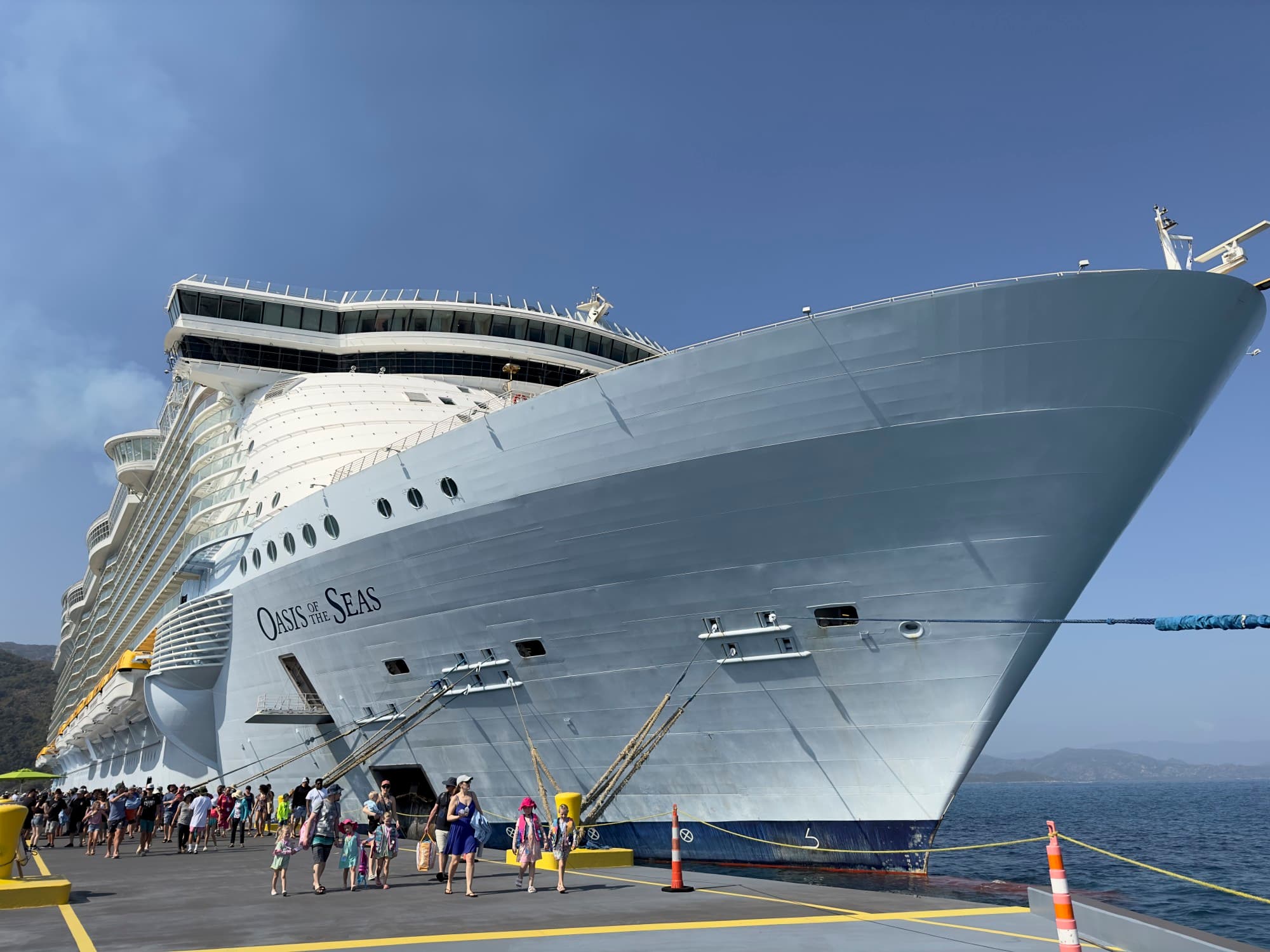 A large docked cruise ship