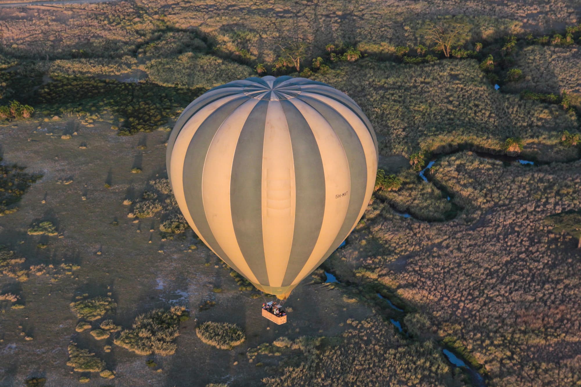 Serengeti Hot Air Balloon - Marvic Cordina