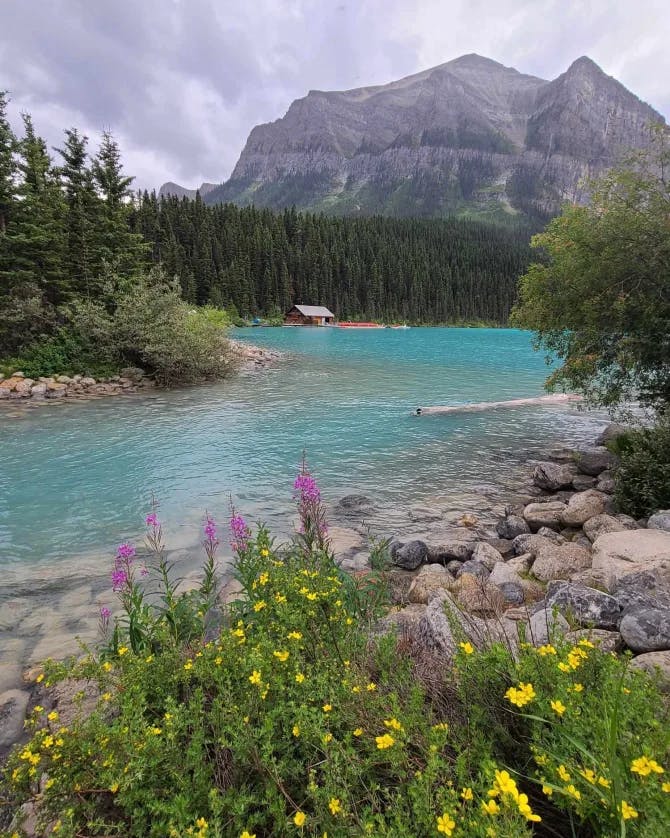 A bright, blue colored lake with mountains and pine trees surrounding it