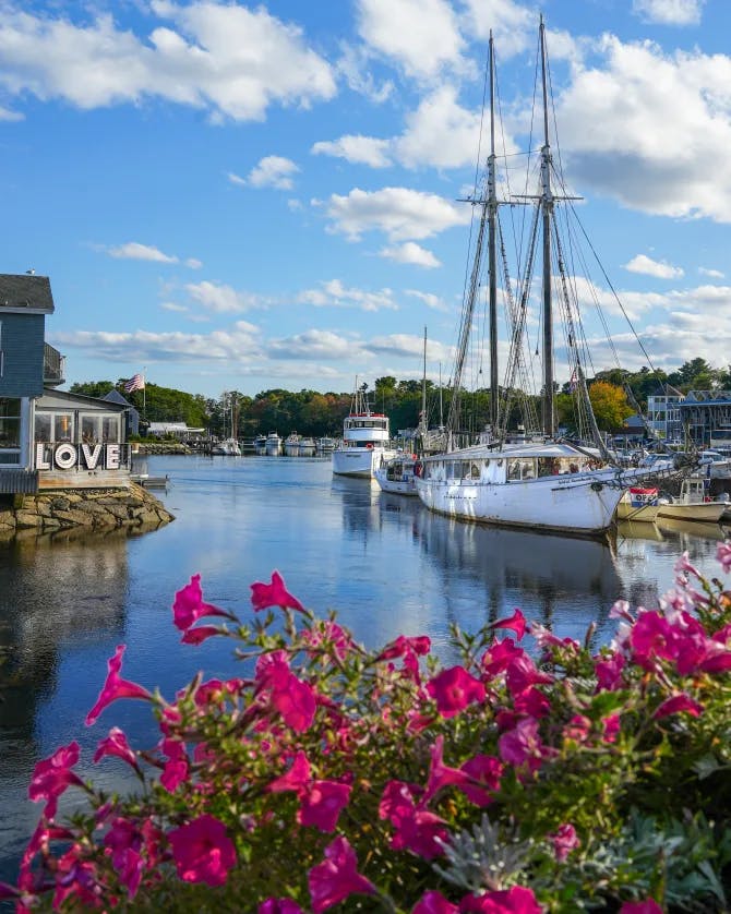 Pink flowers in front of a view of boats docked in a harbor with a cloudy blue sky