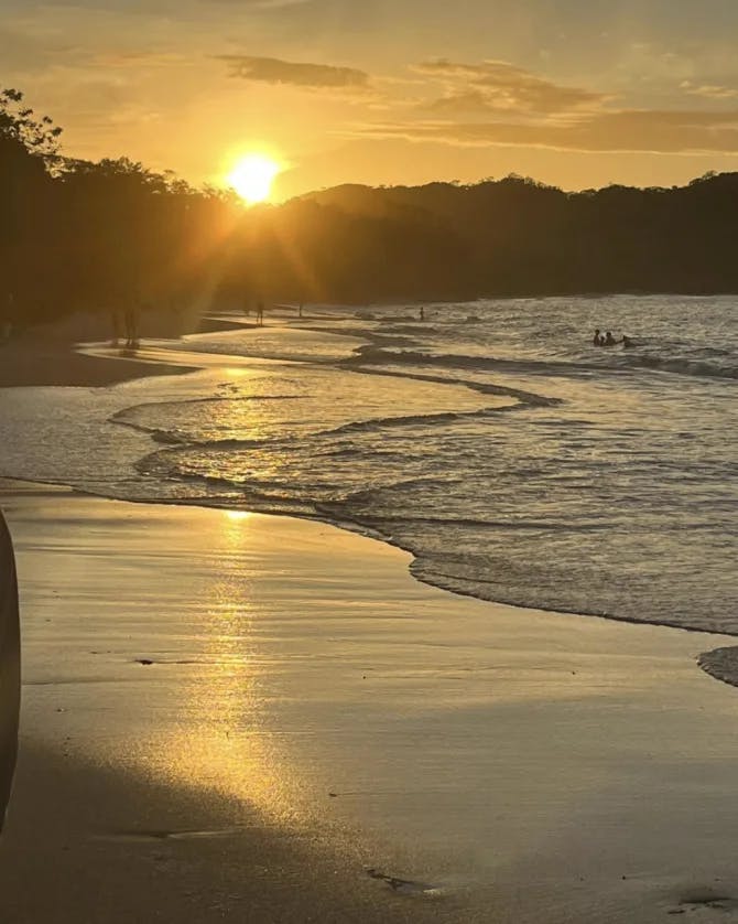 A beautiful view of a beach at sunset with waves rolling in on the shoreline and trees in the background. 