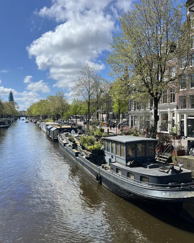 Boats along a river lined with trees