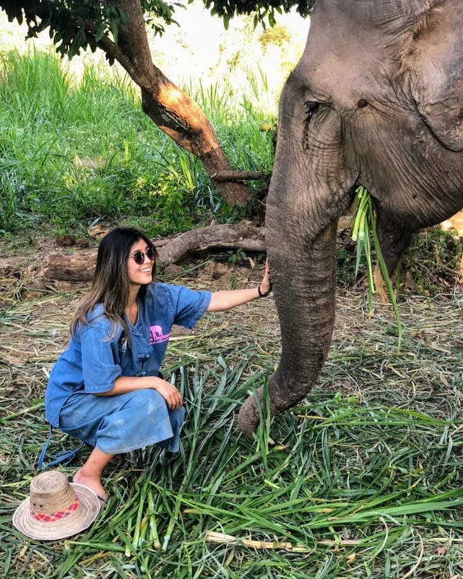 Advisor petting an elephant at an elephant sanctuary.