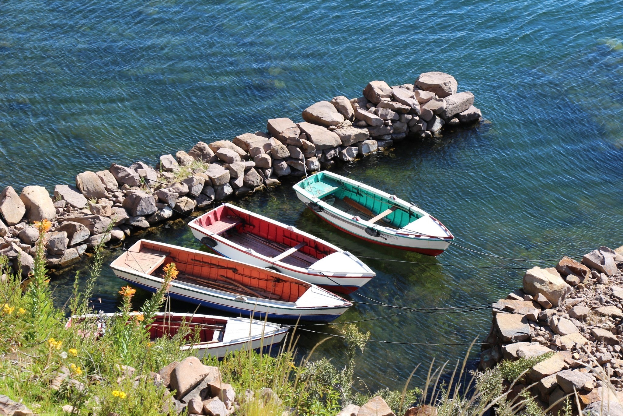 Four boats anchored in a harbor around rocks, blue water, wild grass and flowers.