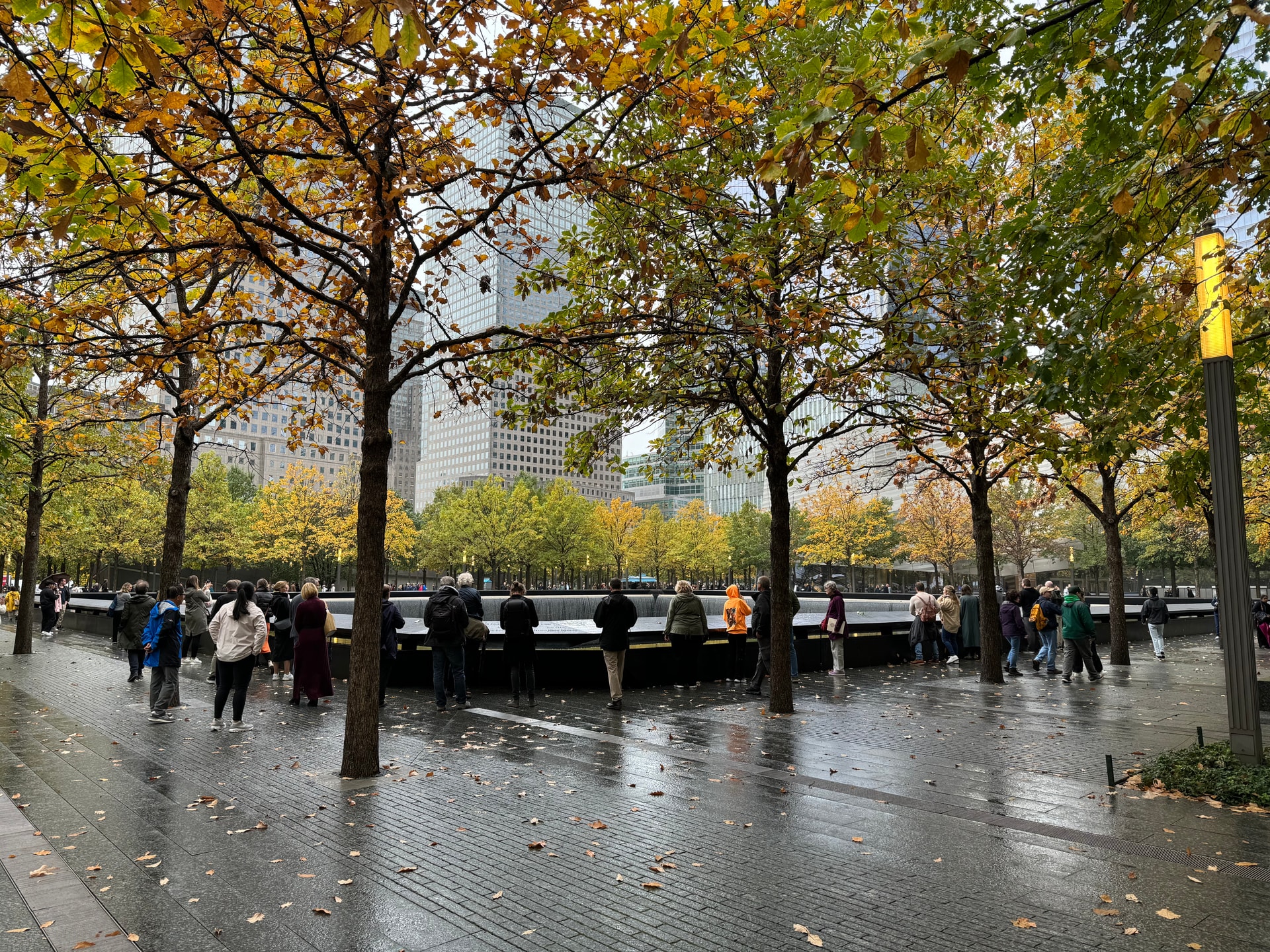 Picture of Zuccotti Park