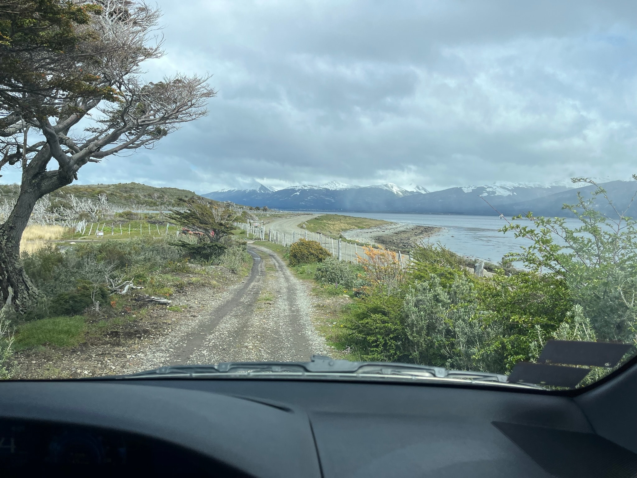 A beautiful view of road from car