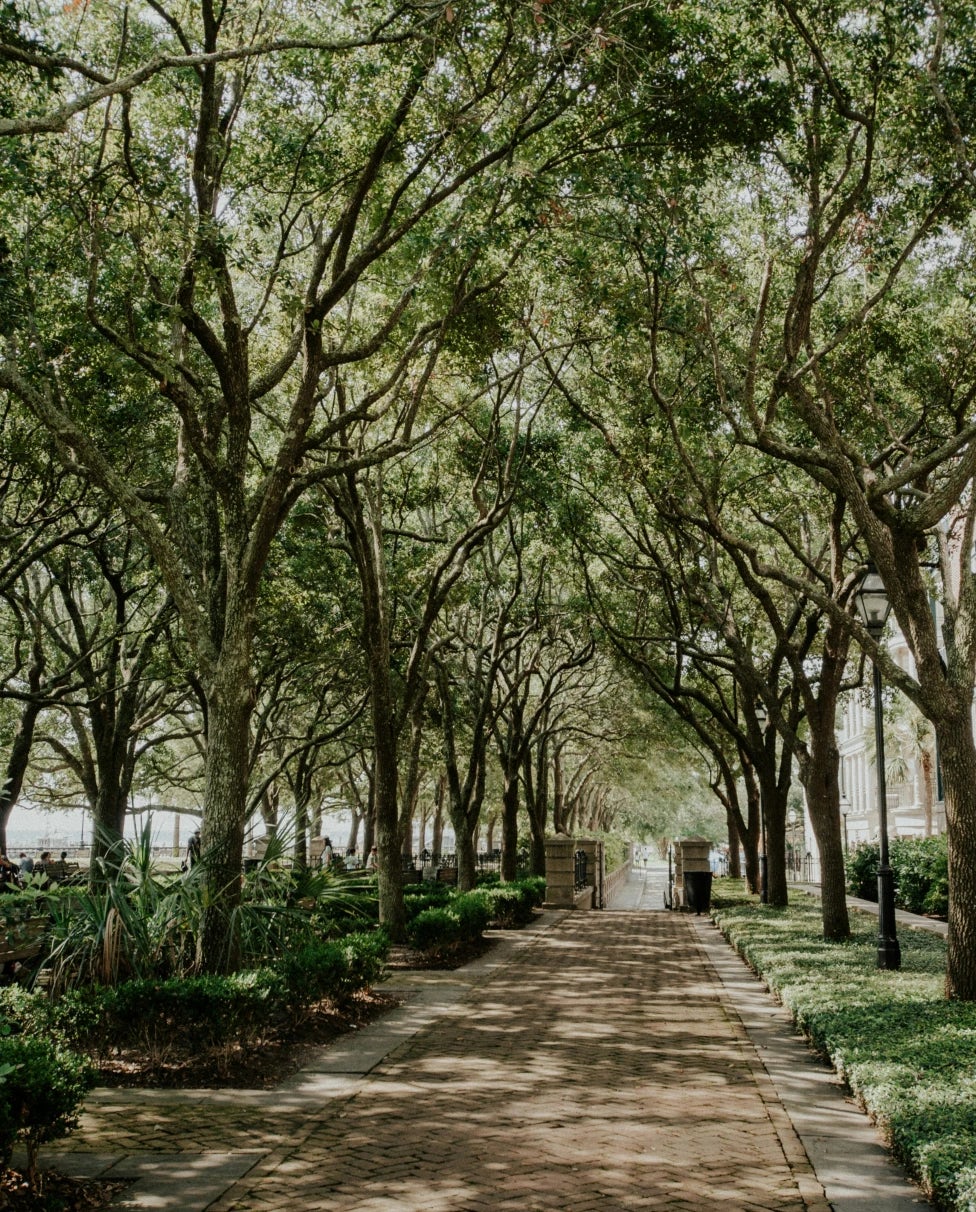 Reflections on Savannah & Charleston: History, Hospitality & Hints of the Lowcountry