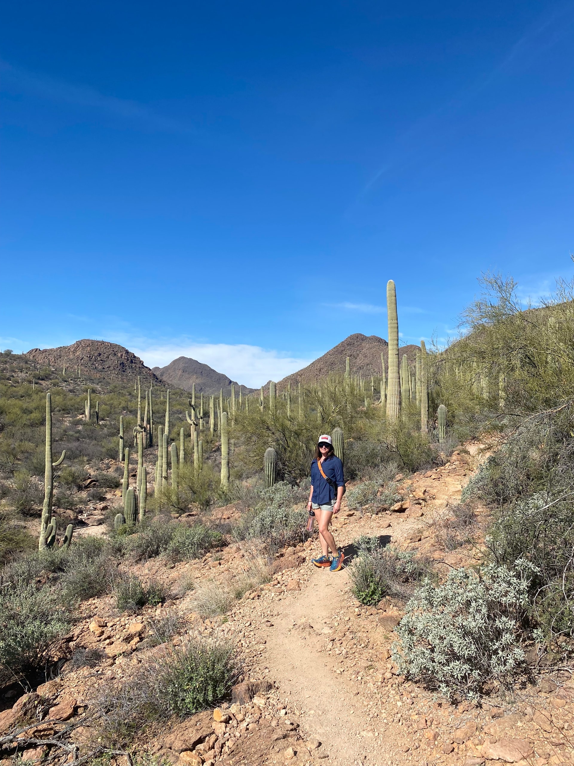 A picture of Anne hiking in the desert with cacti and mountains in the background