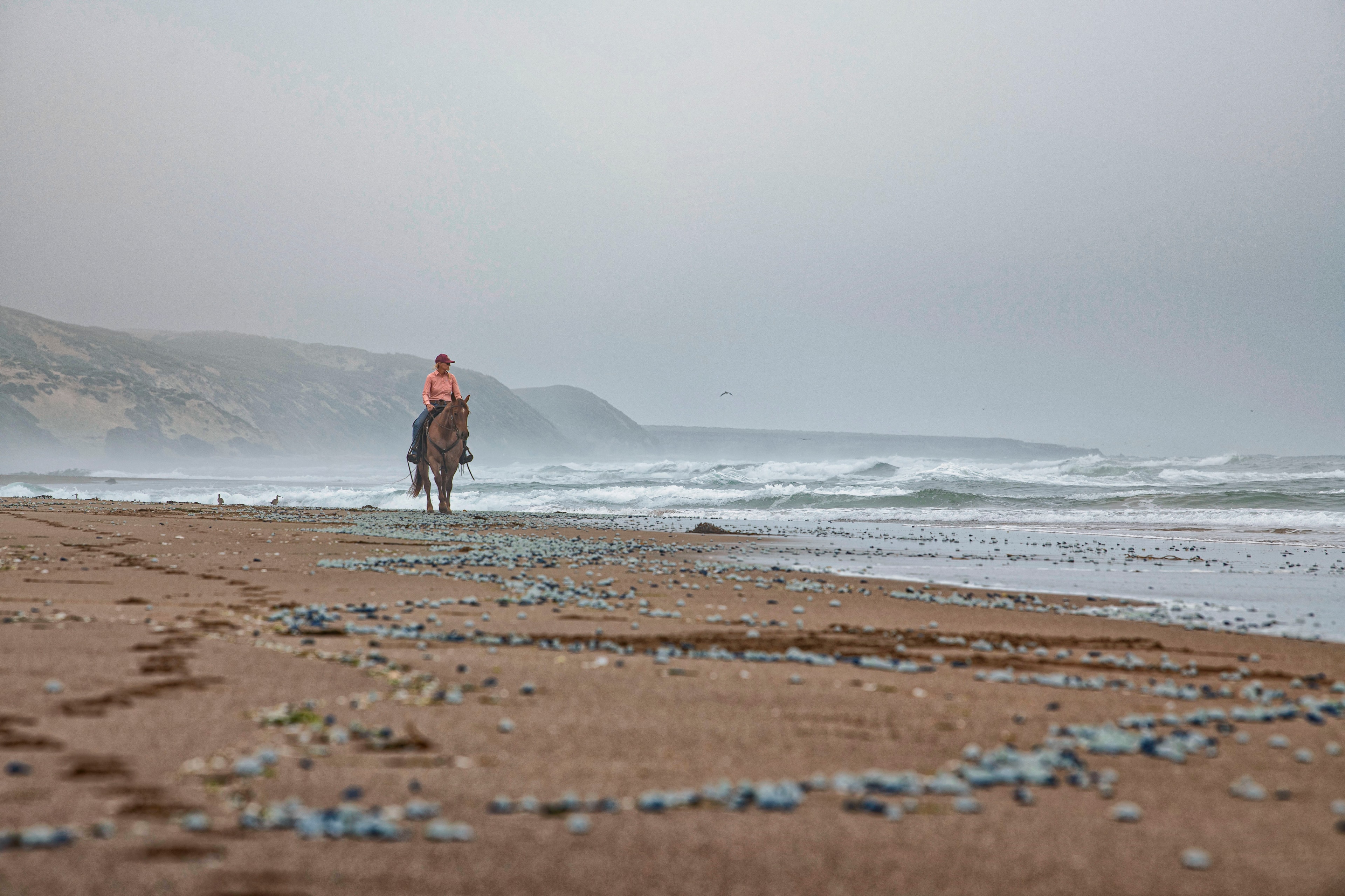 horse riding by the beach