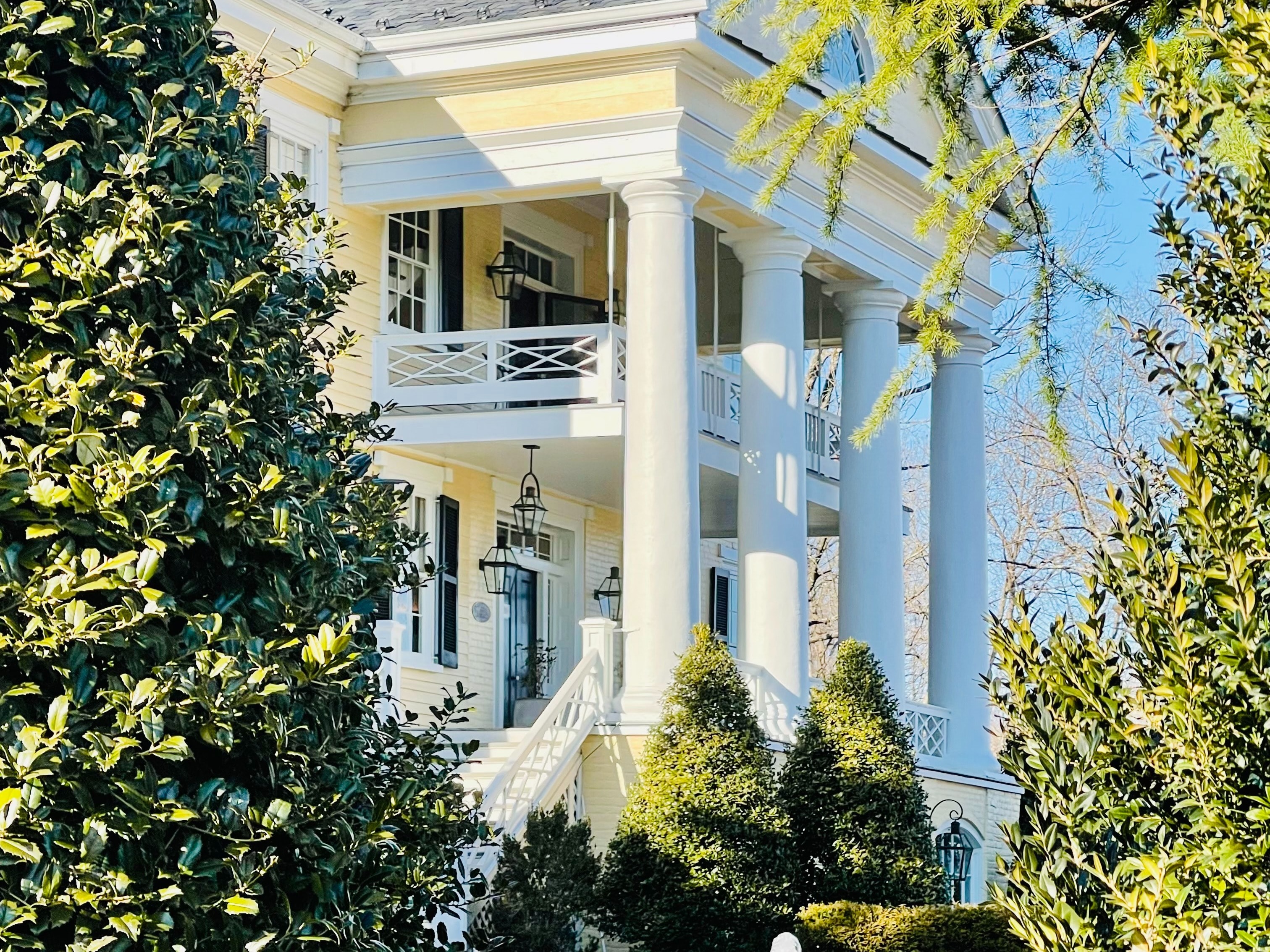 White house covered with trees