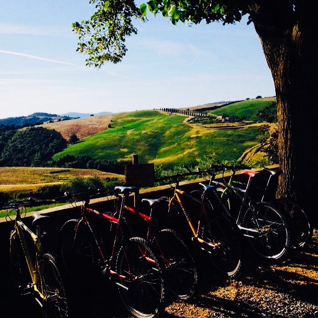 Travel Advisor Lauren Goldstein took a photo of bikes and a mountain trail.