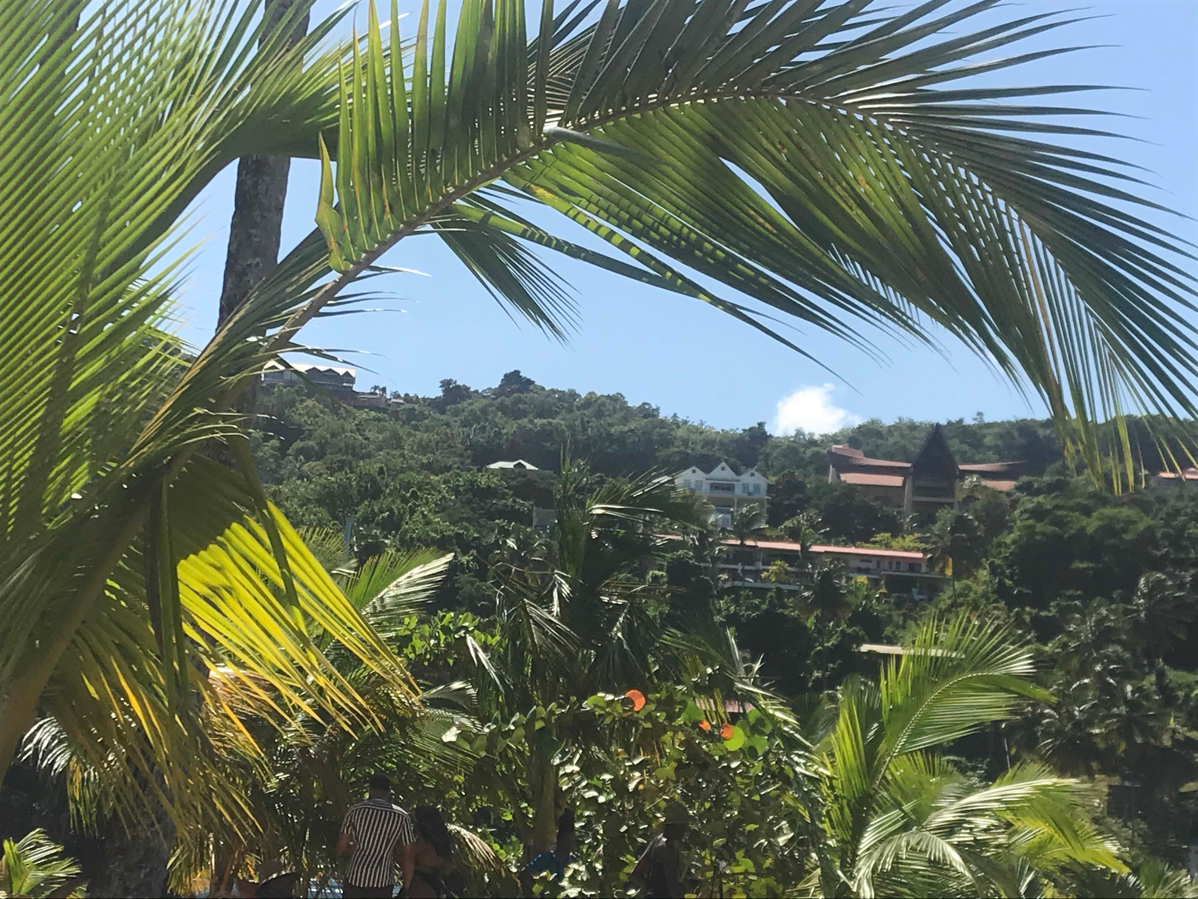 View of a valley