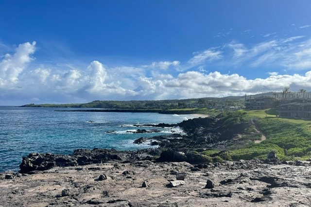 aerial-view-of-beach-hawaii-travel-guide