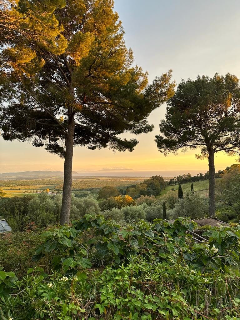 View of a valley