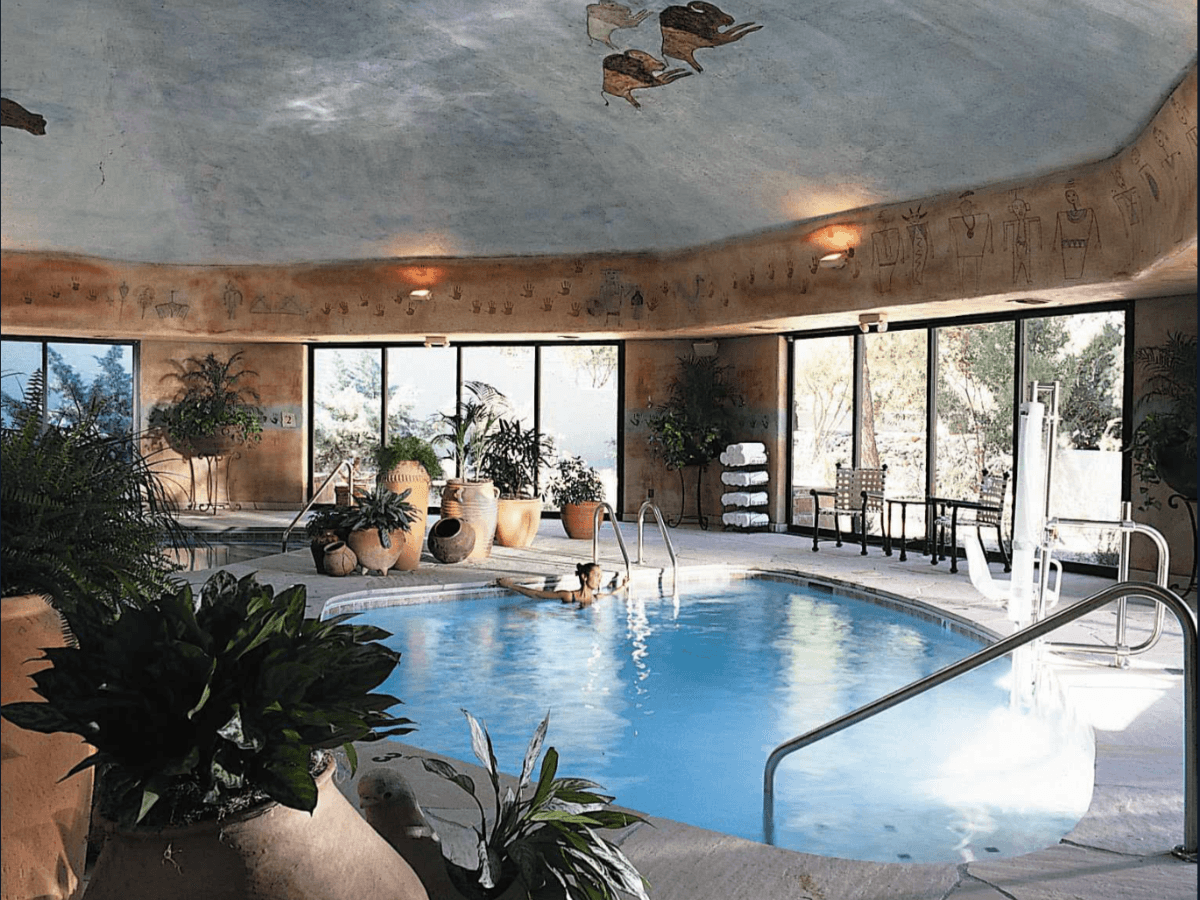 an indoor pool surrounded by potted plants